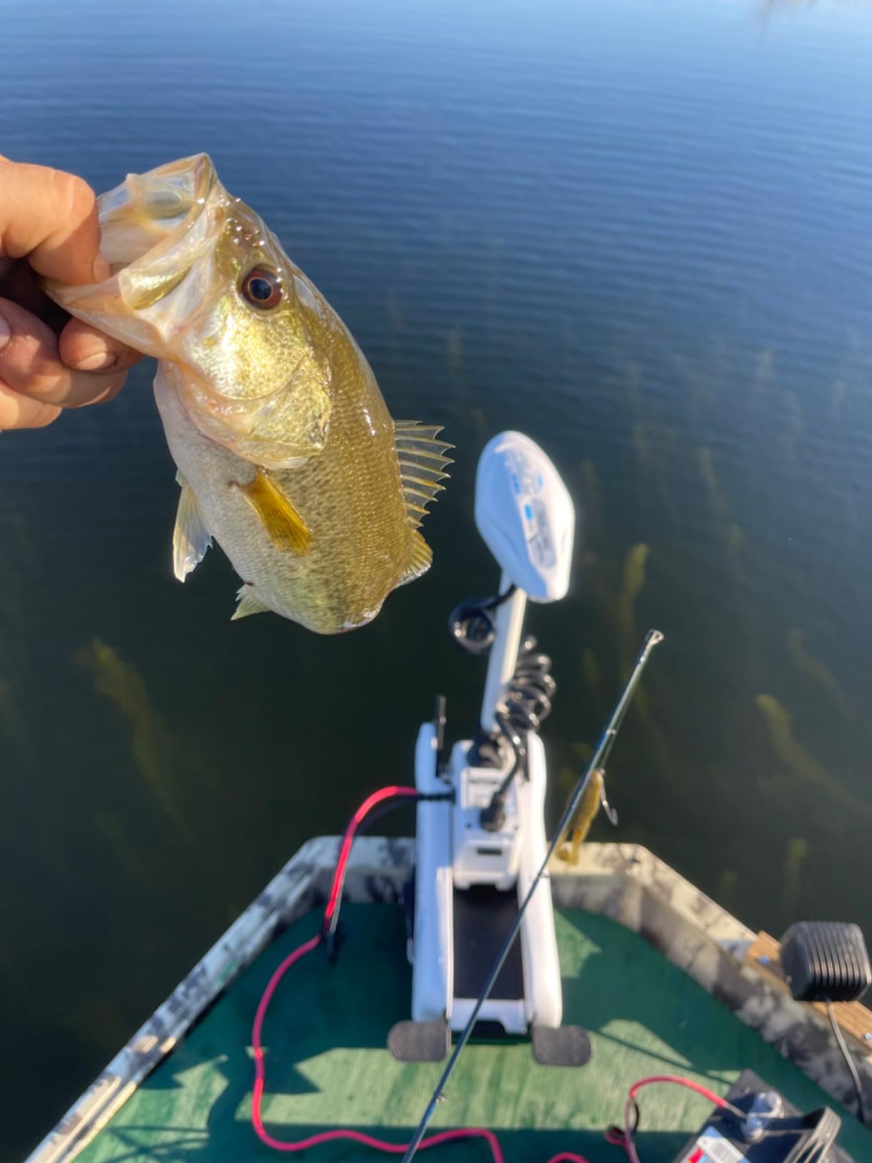 AQUOS Haswing CaymanB Electric Bow Mount 12V Saltwater & Freshwater Trolling Motor - 55lbs Thrust, 48in Shaft, with Wireless Remote & Wireless Foot Control, Quick Release Bracket customer photo 4