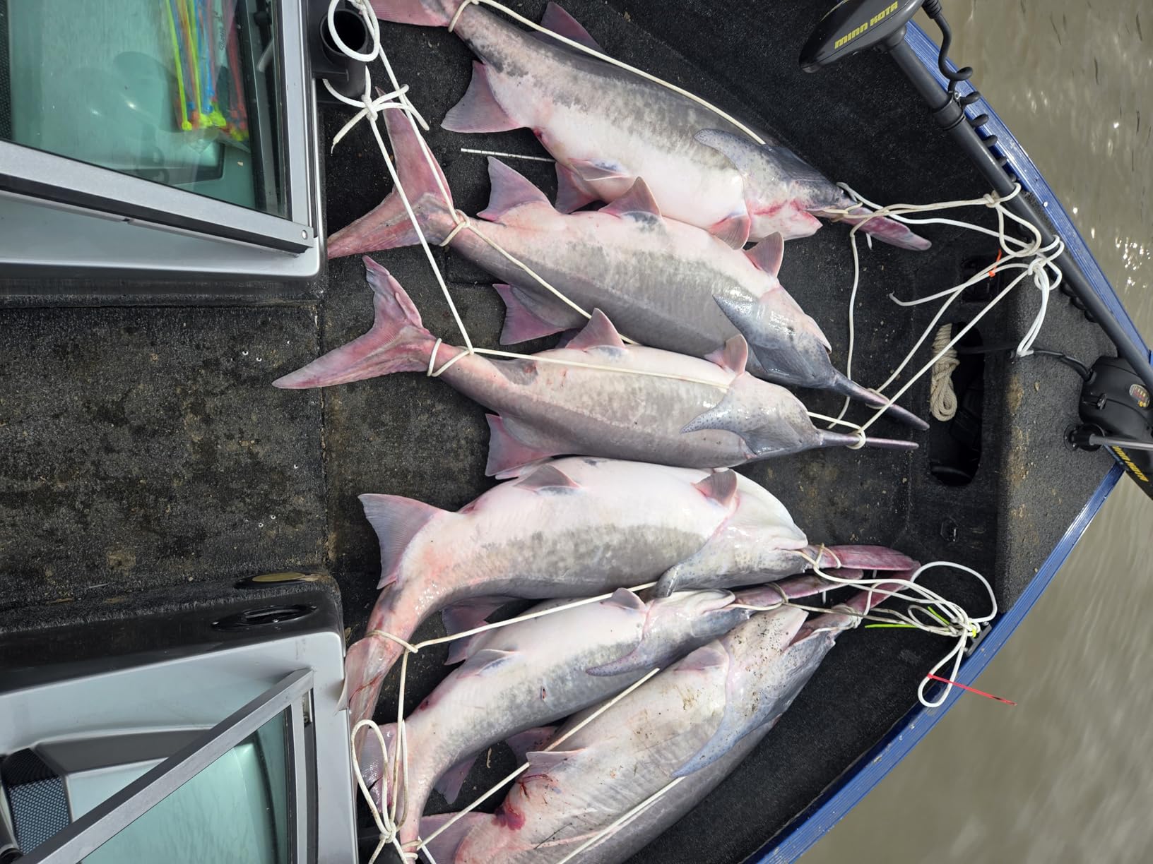 Garmin Striker Vivid 7sv Fish Finder customer photo 2