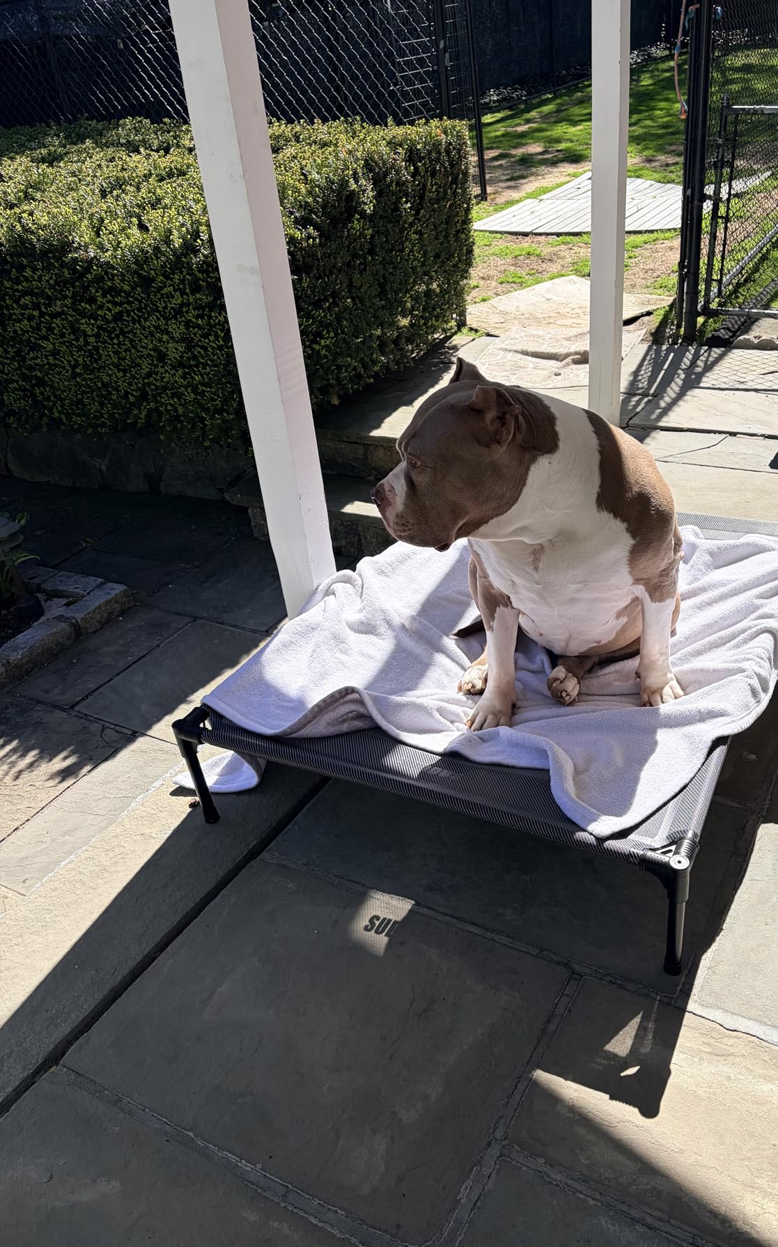 Suddus Elevated Dog Bed for Large Dogs 140lb, Breathable Cooling Raised Dog Cot with Dual Support Bars & Metal Frame, No-Slip Feet, Waterproof Pet Bed for Indoor/Outdoor, X-Large, 48 * 36 * 9in, Grey customer photo 1