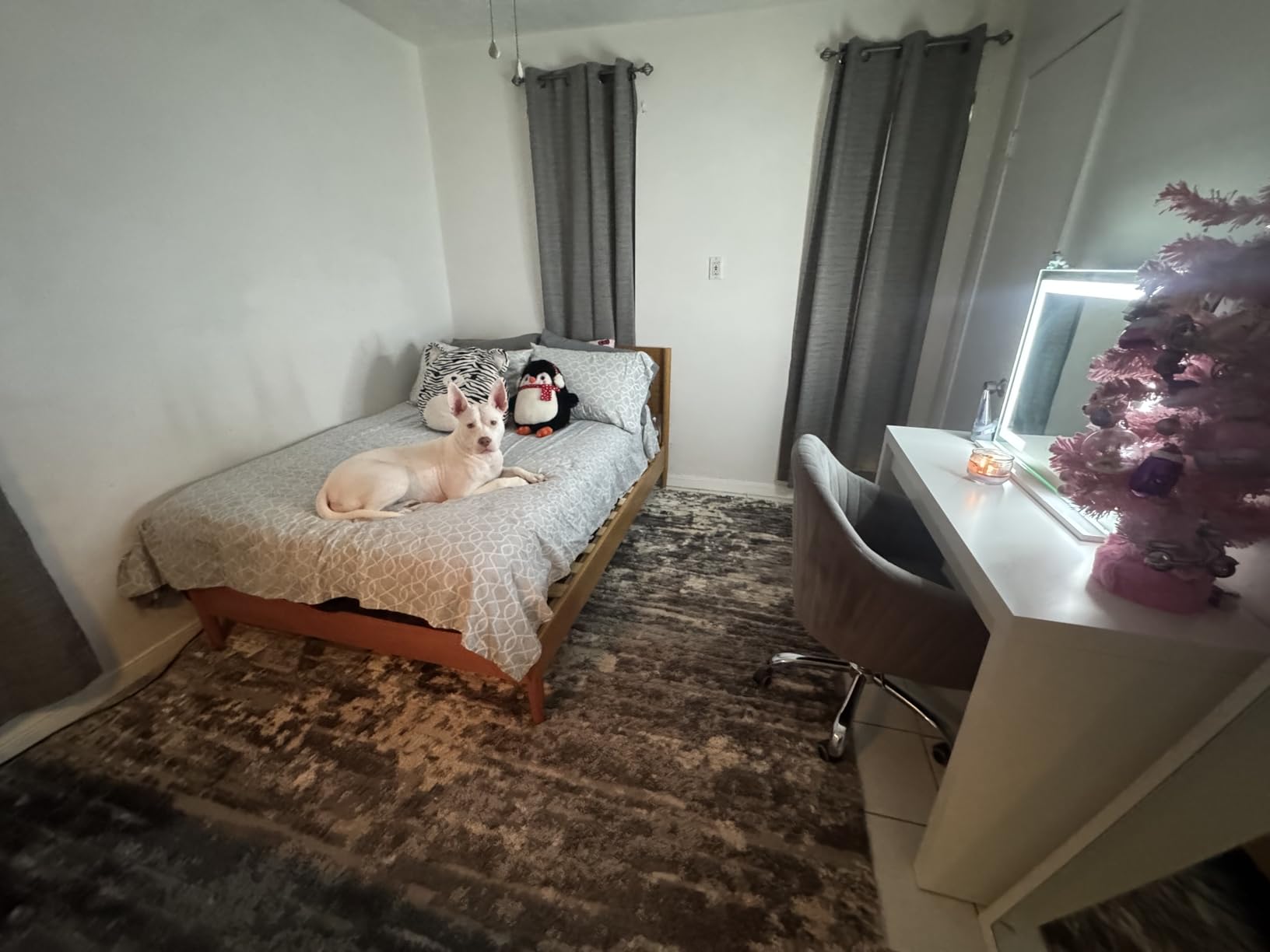 Zinus Allen Mid Century Wood Platform Bed Frame/Solid Wood Foundation/Wood Slat Support/No Box Spring Needed/Easy Assembly, King customer photo 1