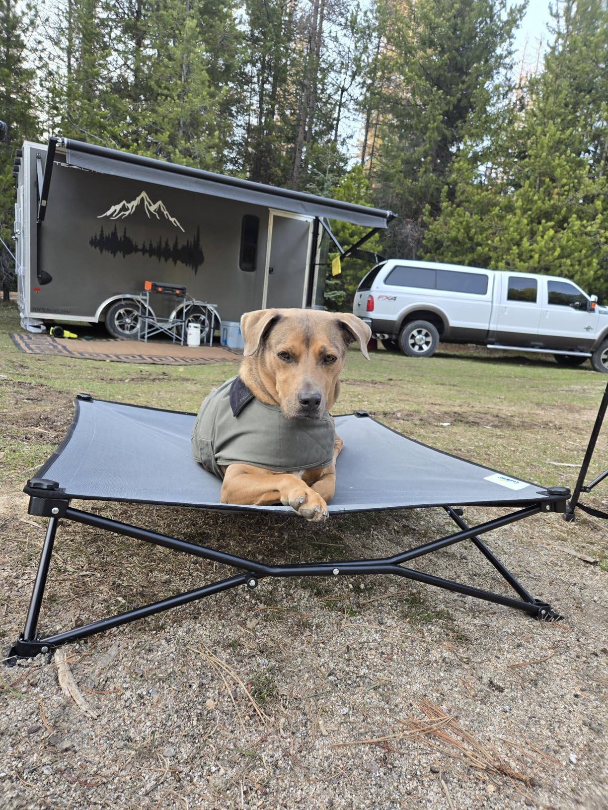 Coolaroo On-The-Go Elevated Dog Bed - Foldable Pop-Up Travel Dog Bed with Breathable, Moisture-Resistant Fabric, Carry Bag Included, Lightweight & Portable, Steel Gray, Large customer photo 2