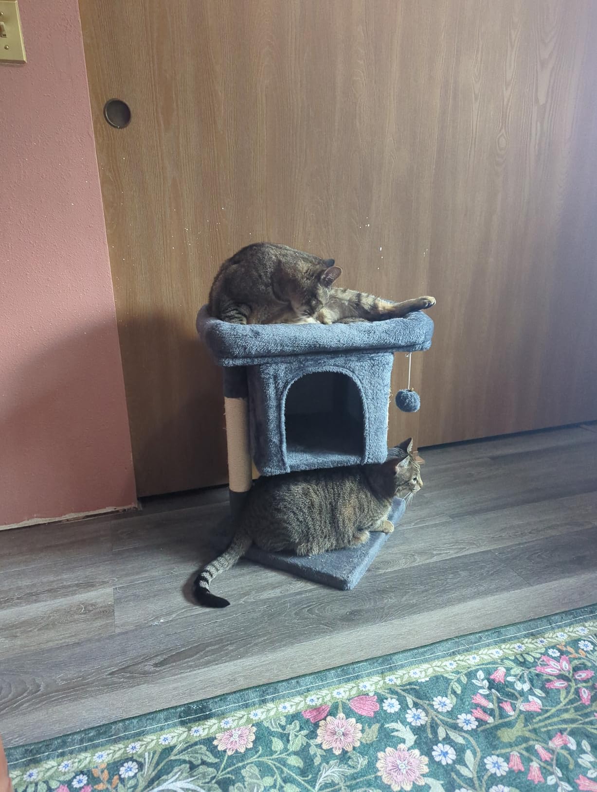 Yaheetech 23.5in Low Cat Tree for Senior Cats, Sturdy 3-Level with Large Top Perch, Condo & Sisal Scratching Posts, Space-Saving for Apartments, Beige customer photo 1