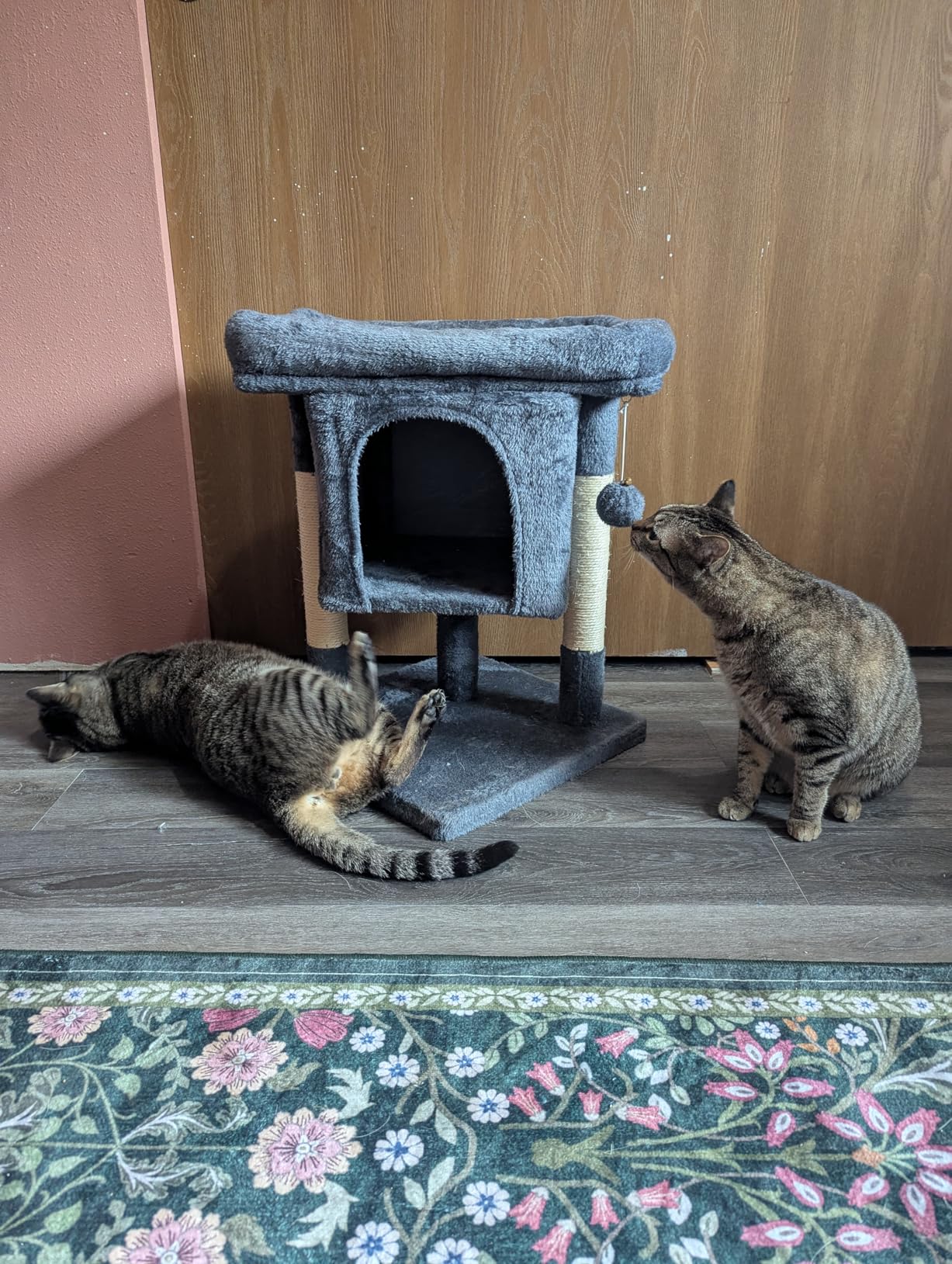 Yaheetech 23.5in Low Cat Tree for Senior Cats, Sturdy 3-Level with Large Top Perch, Condo & Sisal Scratching Posts, Space-Saving for Apartments, Beige customer photo 2