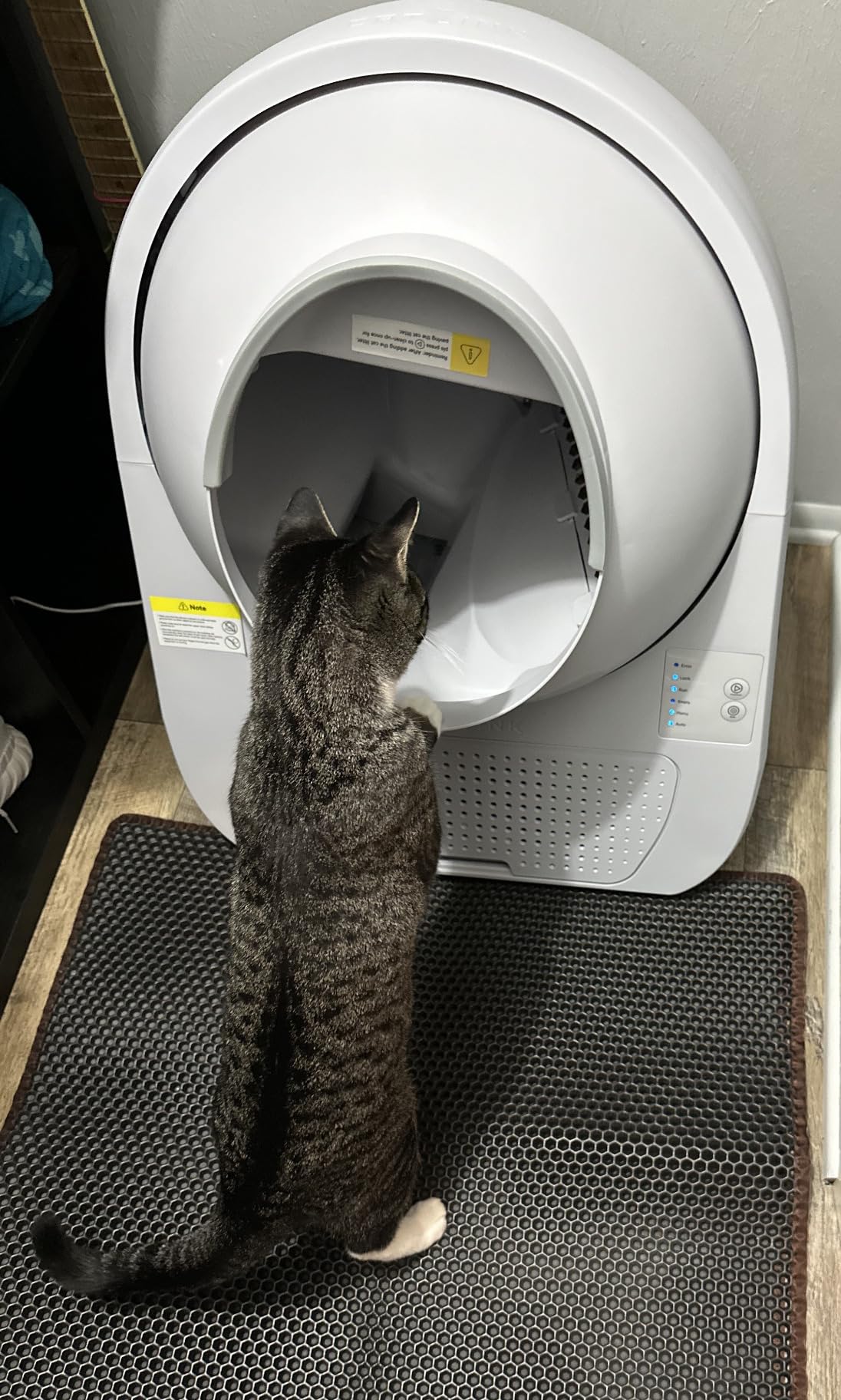 CATLINK Self Cleaning Cat Litter Box, Automatic Cat Litter Box, Double Odor Removal customer photo 2