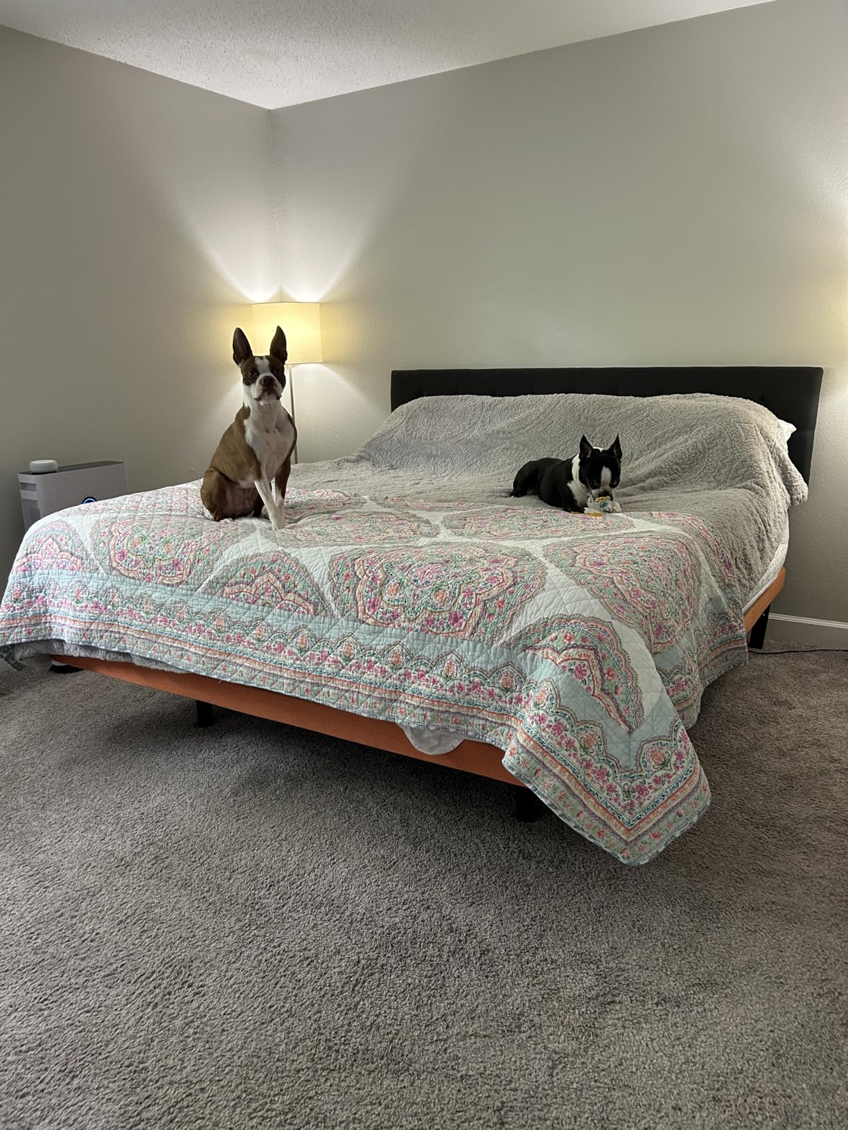 ESHINE Adjustable Bed Frame Queen - Easy to Install in 5 Minutes, Adjustable Bed for Massage, Zero Gravity, Under Bed Lights, Wireless Remote, Foot&Head Incline, Smart Bed, 3000 Premium Series customer photo 1