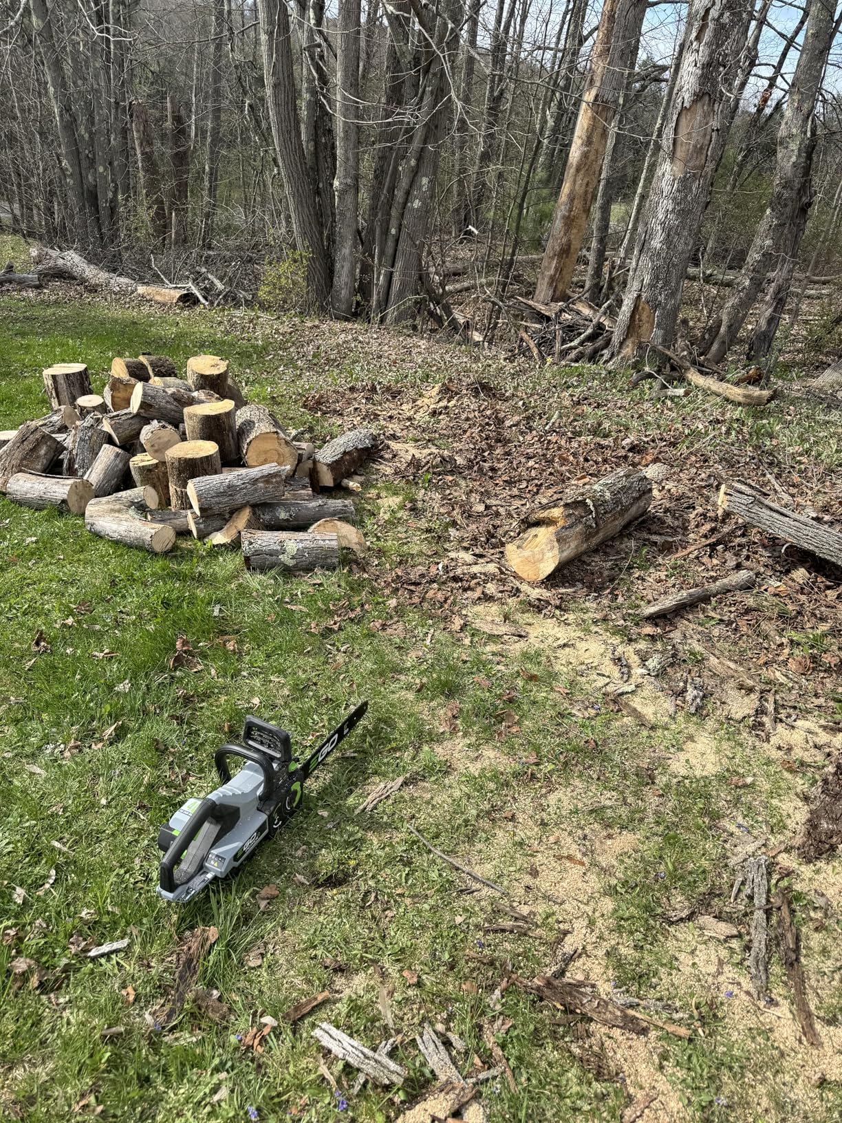 EGO POWER+ Chain Saw, 18