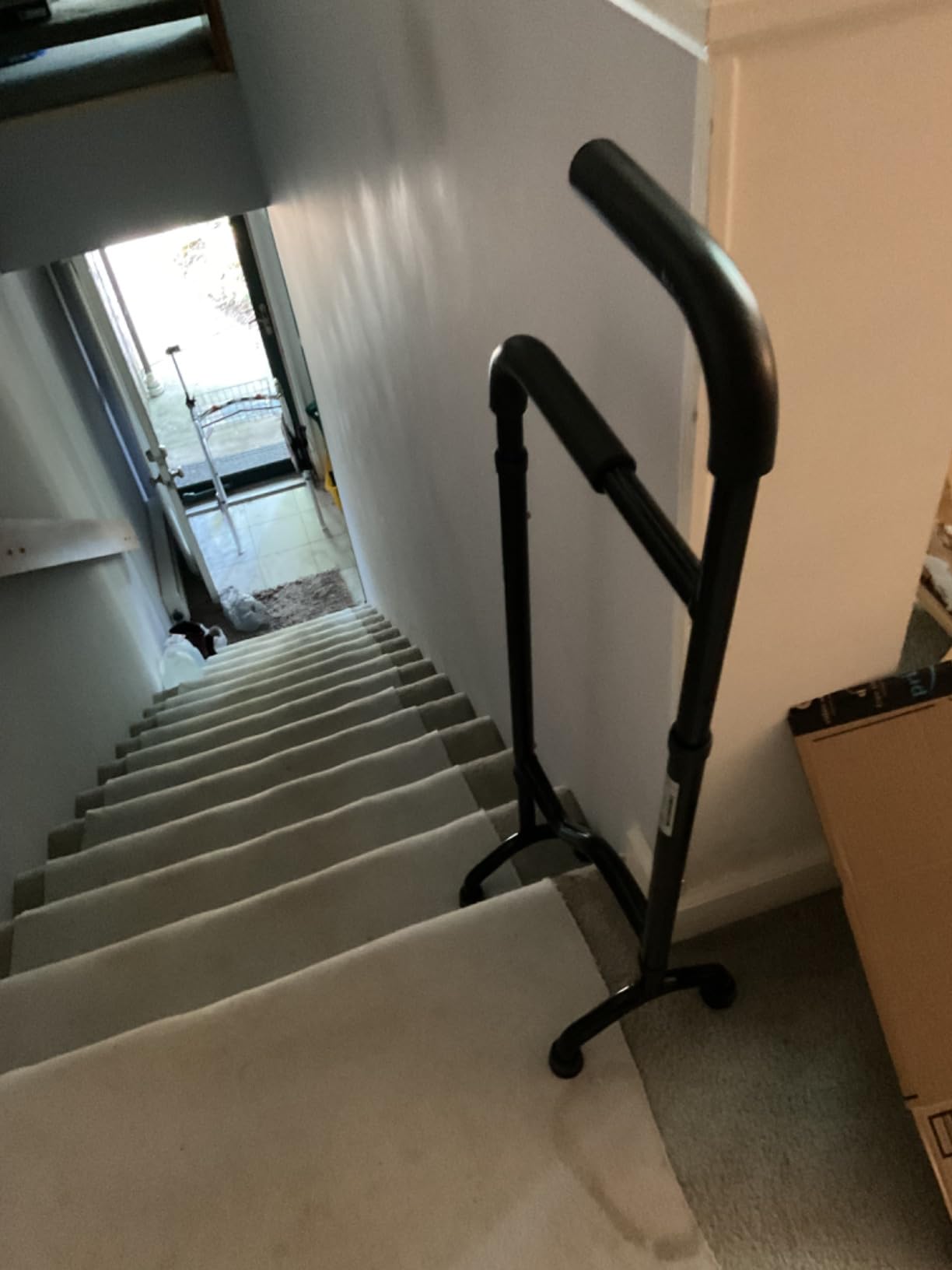 Rock Steady Cane Stair Assist Cane - Less Effort Going Up, Less Impact Coming Down, Lightweight customer photo 1