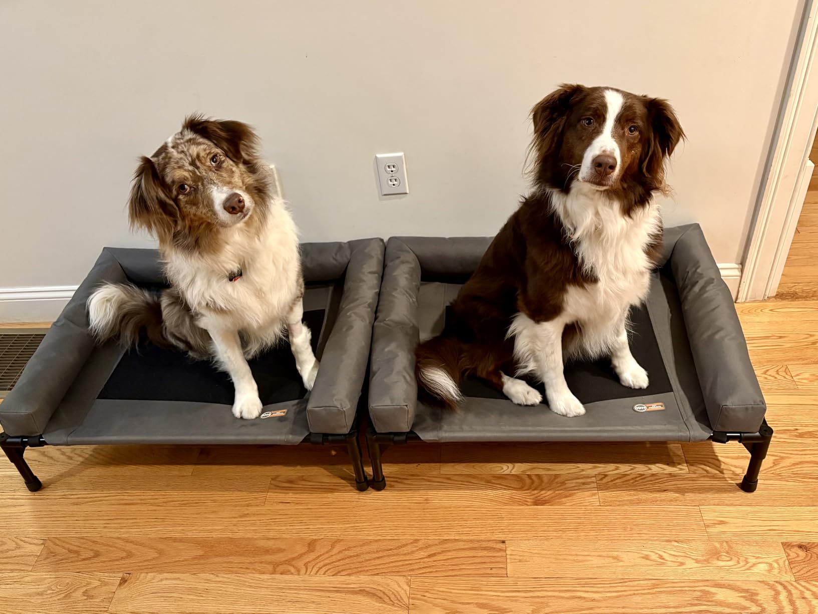K&H Pet Products Bolster Dog Cot, Cooling Indoor Outdoor Elevated Cot Hammock Dog Bed with Removable Washable Bolsters, Washable Mesh Cover, Raised Metal Frame - Large 42 X 30in Charcoal customer photo 1