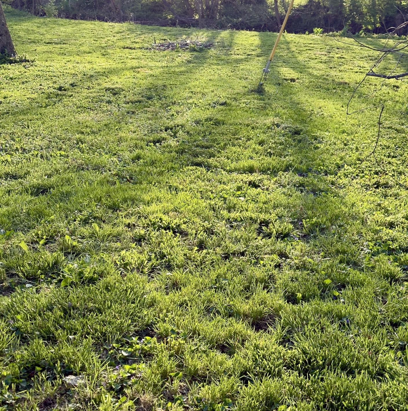 YARDMAX 22