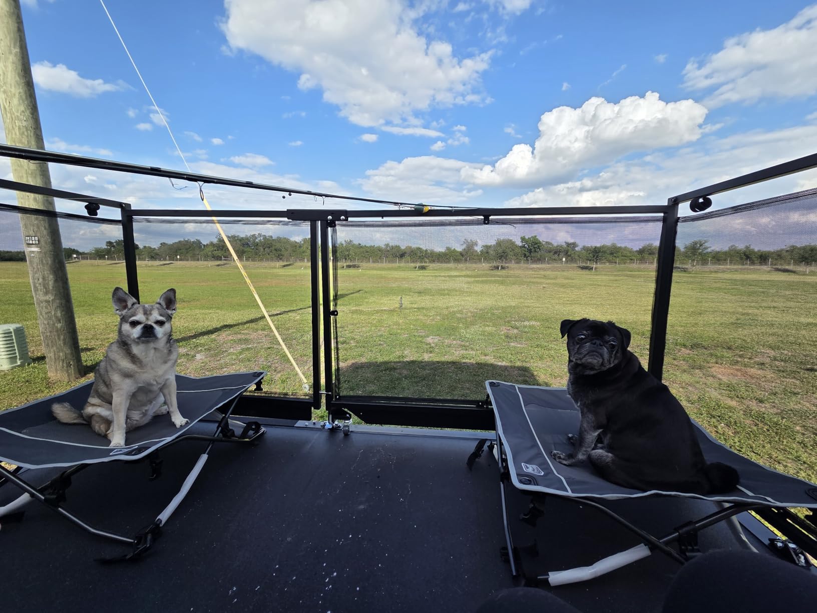 TIMBER RIDGE Outdoor Dog Bed, Cooling Elevated Pet Bed Portable Raised Dog Bed with Breathable Mesh, Dog Bed Foldable Dog Cot for Indoor & Outside, Grey customer photo 2
