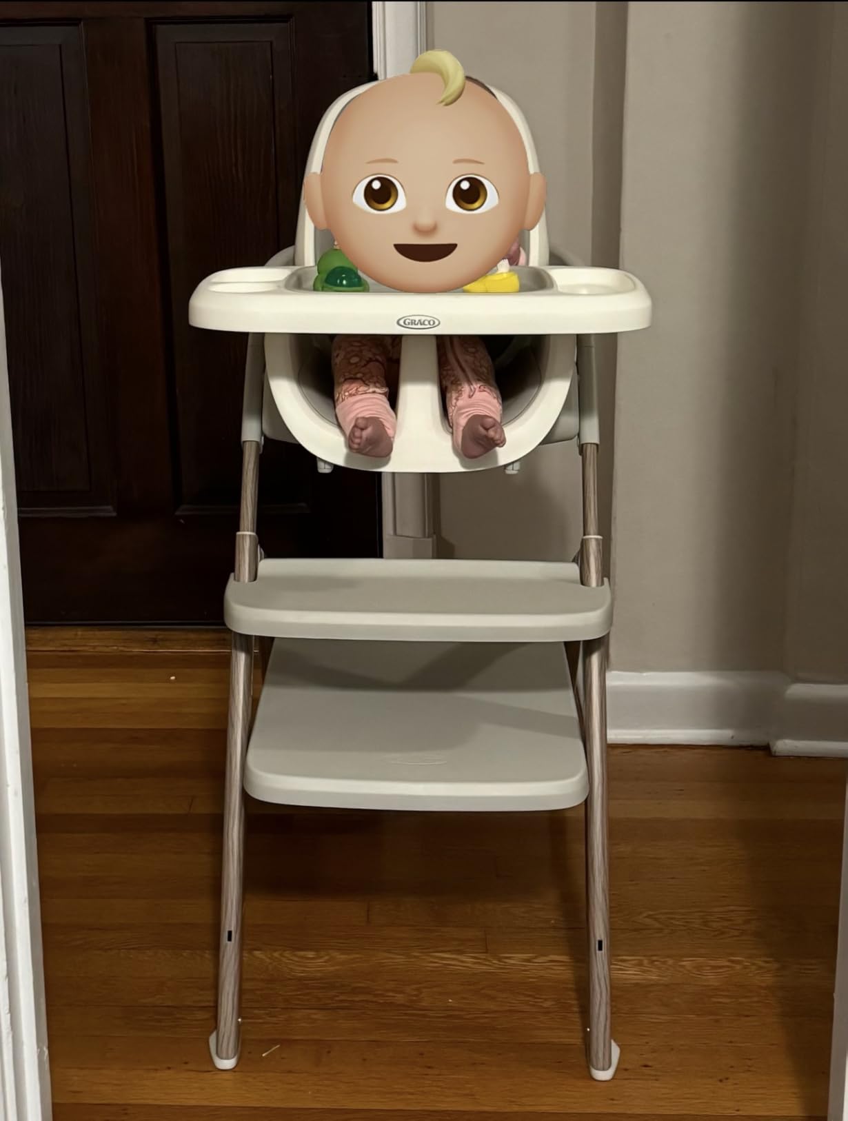 Graco EveryStep 6 in 1 High Chair customer photo 2