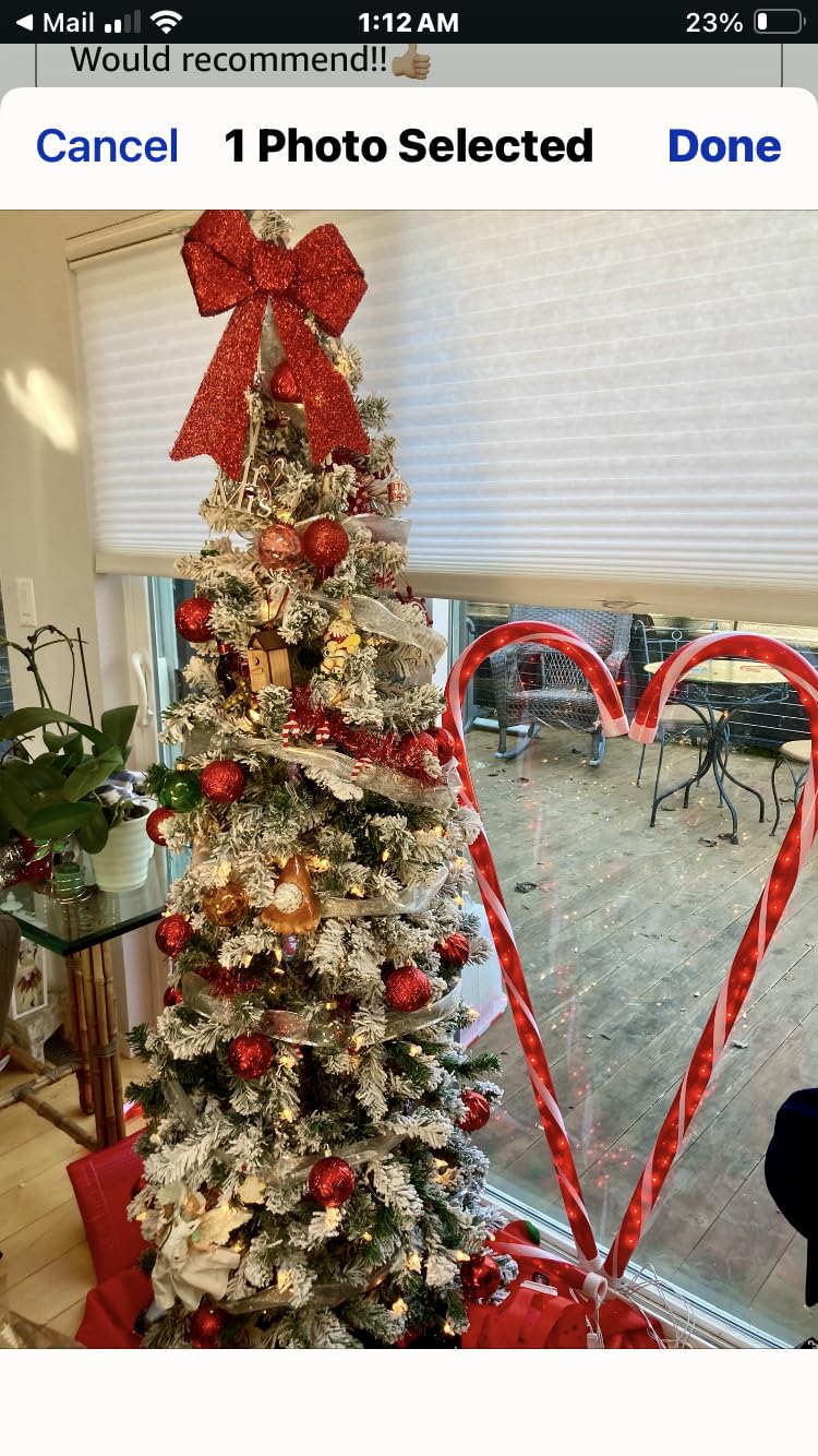 National Tree Company 6 ft Pre-Lit Flocked Acacia Slim Artificial Christmas Tree, 250 Clear Lights, 512 Tips, Includes Stand, Green customer photo 2