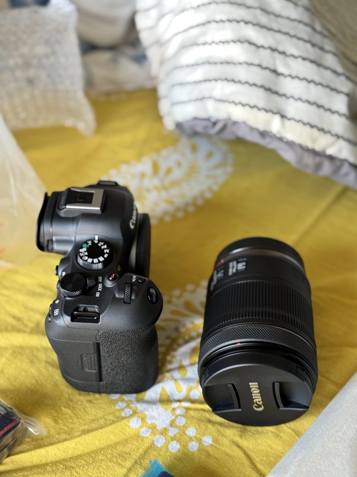 Canon EOS R6 Mark II Mirrorless Camera RF24-105mm F4-7.1 is STM Lens Kit, Full-Frame Hybrid Camera, 24.2 Megapixel CMOS Sensor, Photo and Video Capabilities, Black customer photo 2
