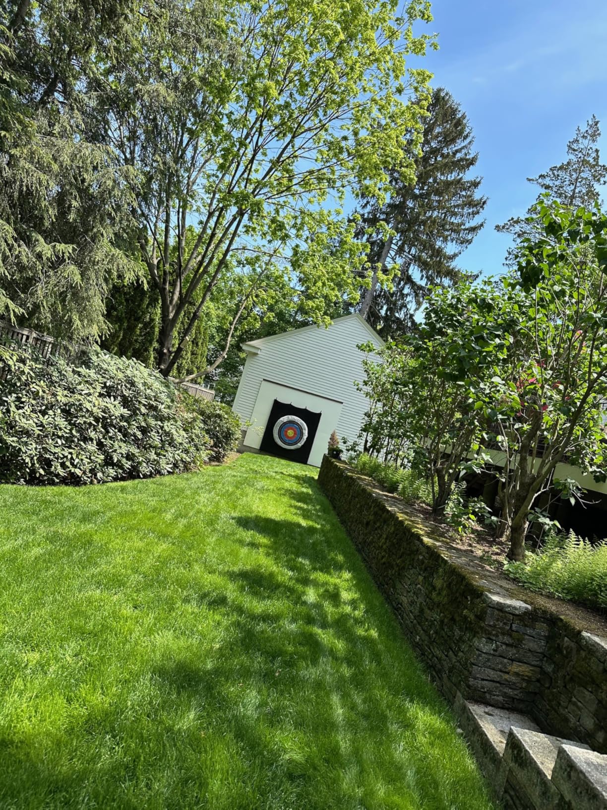 EGO POWER+ LM2114 Cordless Electric Lawn Mower, 56V 6.0Ah Battery and 320W Charger - LM2114 customer photo 1