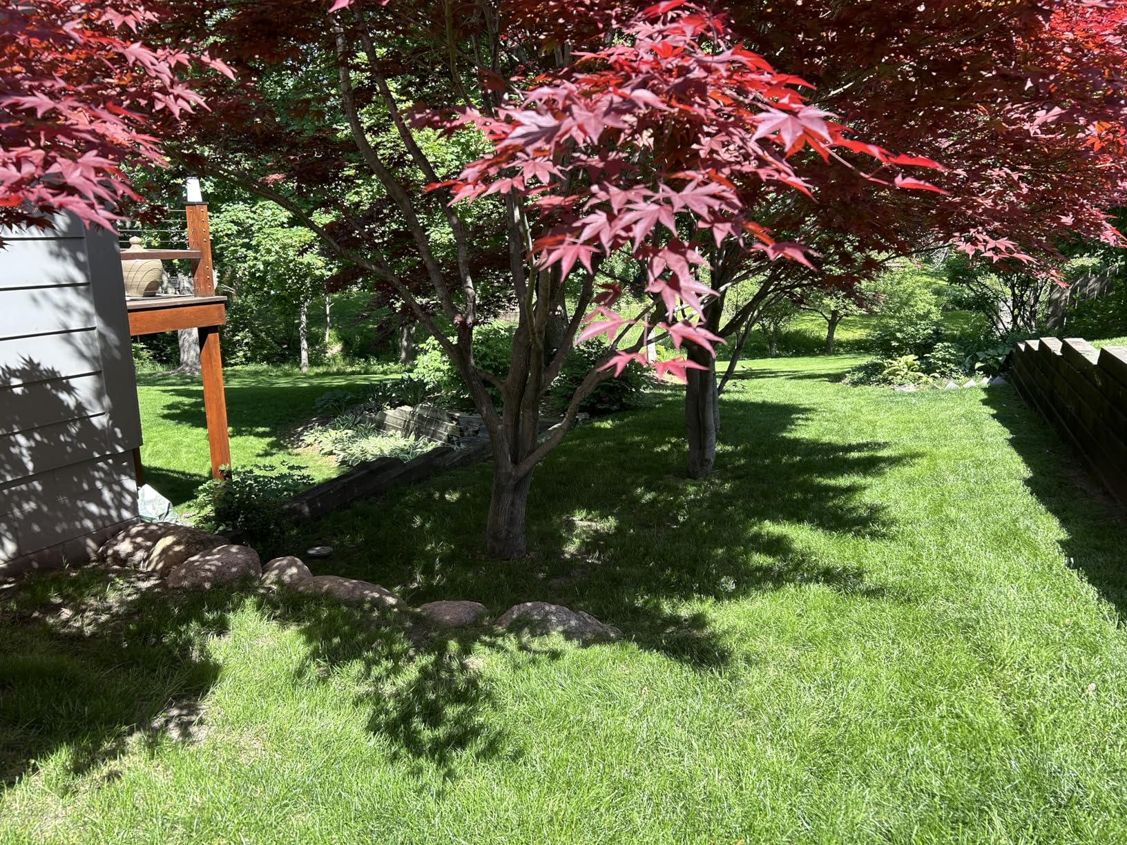 EGO POWER+ LM2114 Cordless Electric Lawn Mower, 56V 6.0Ah Battery and 320W Charger - LM2114 customer photo 2