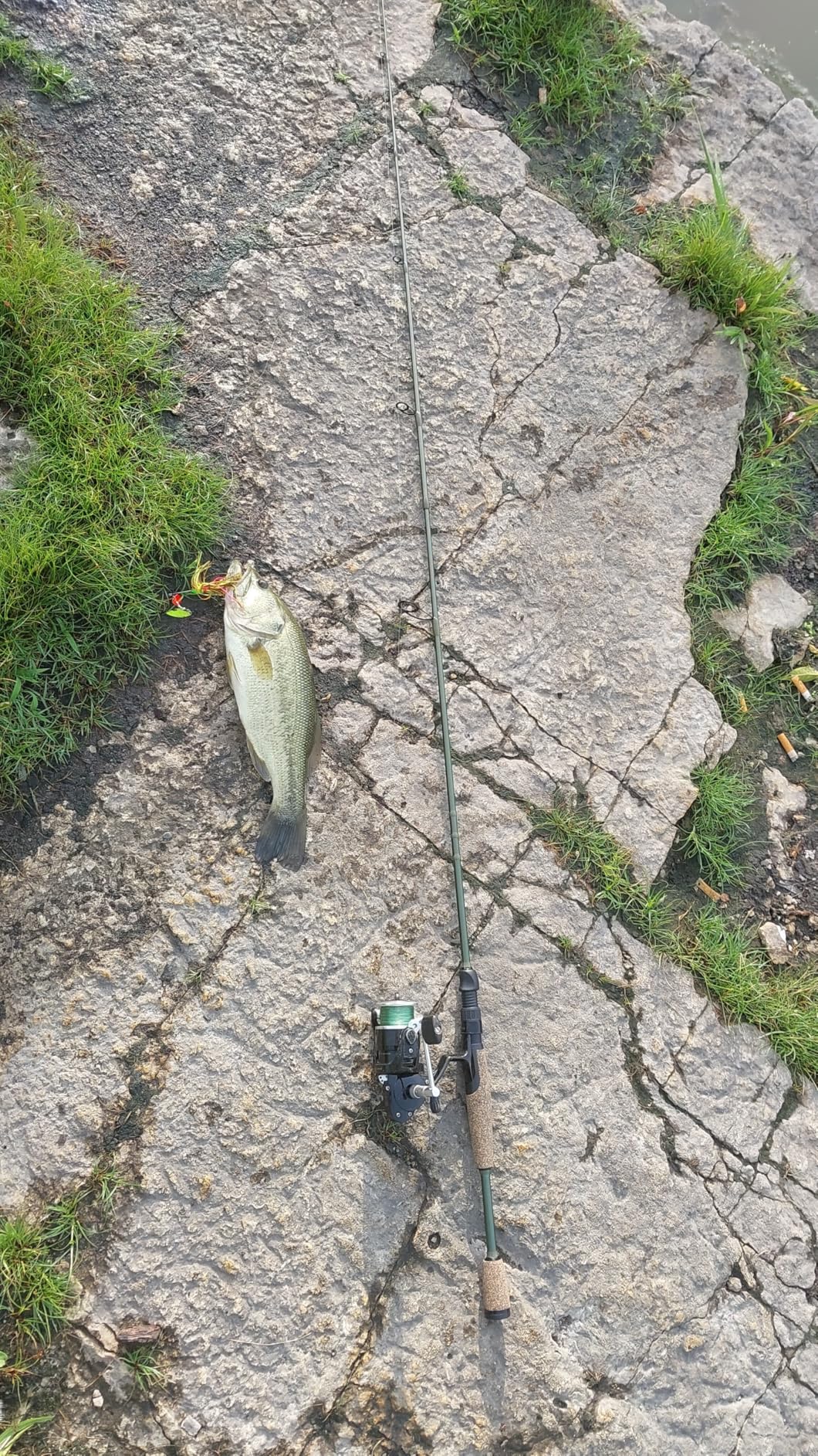 KastKing Spartacus II Fishing Rods - IM6 Graphite Blanks Casting & Spinning Rods, 2-Piece Rods with Extra Tip Section, PTS Power Transition System, KastFlex Technology, Rubber Cork Handle customer photo 4