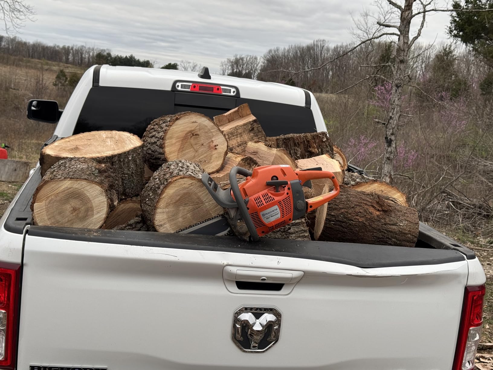 Husqvarna 460 Rancher Gas Powered Chainsaw, 60.3-cc 3.6-HP, 2-Cycle X-Torq Engine, 24 Inch Chainsaw customer photo 2