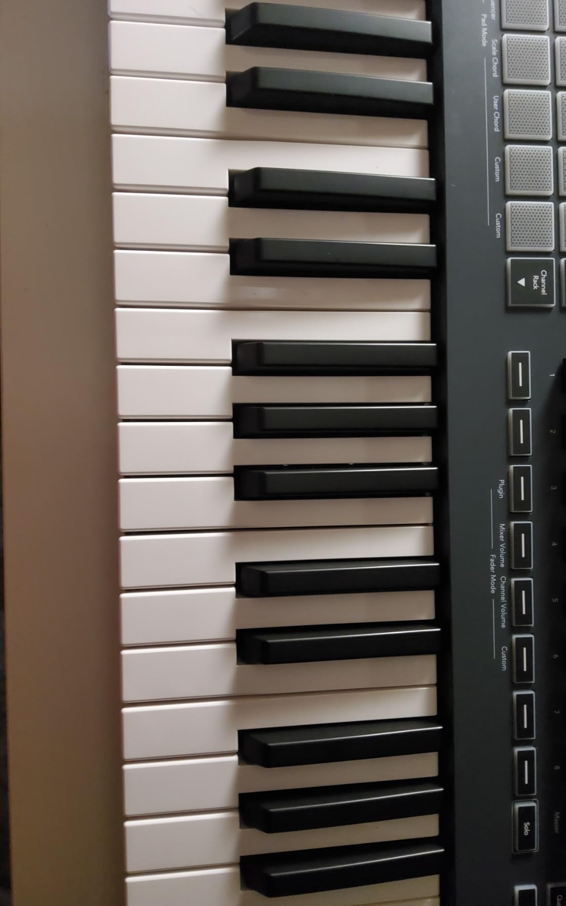 Novation FLkey 49 MIDI Keyboard - FL Studio Integration customer photo 1