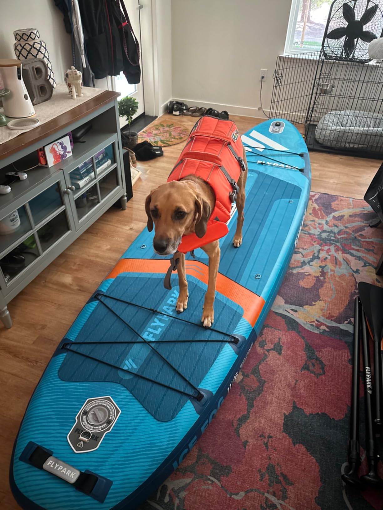 Flypark 10'8/11'x35'' Fishing & Family Stable Inflatable Paddle Boards, Extra Wide SUP Paddleboard Inflatable, 430lb/3 People, Stand Up Paddle Board for Adults, Camera Mount, Shoulder Strap, Rod Holder customer photo 2