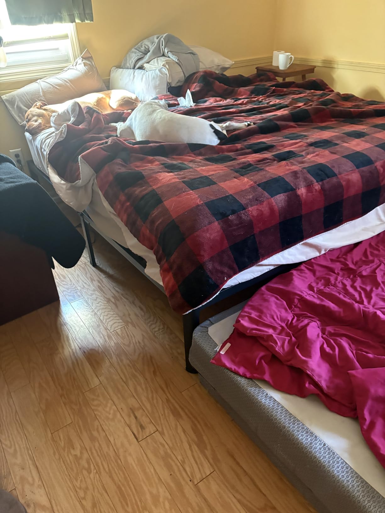 ROIL 14 inch Metal Queen Bed Frame with Rounded Corner and Headboard Hole Mattress Retainers 3500LBS Heavy Duty Steel Slats No Box Spring Needed Platform Noise-Free Easy Assembly customer photo 1