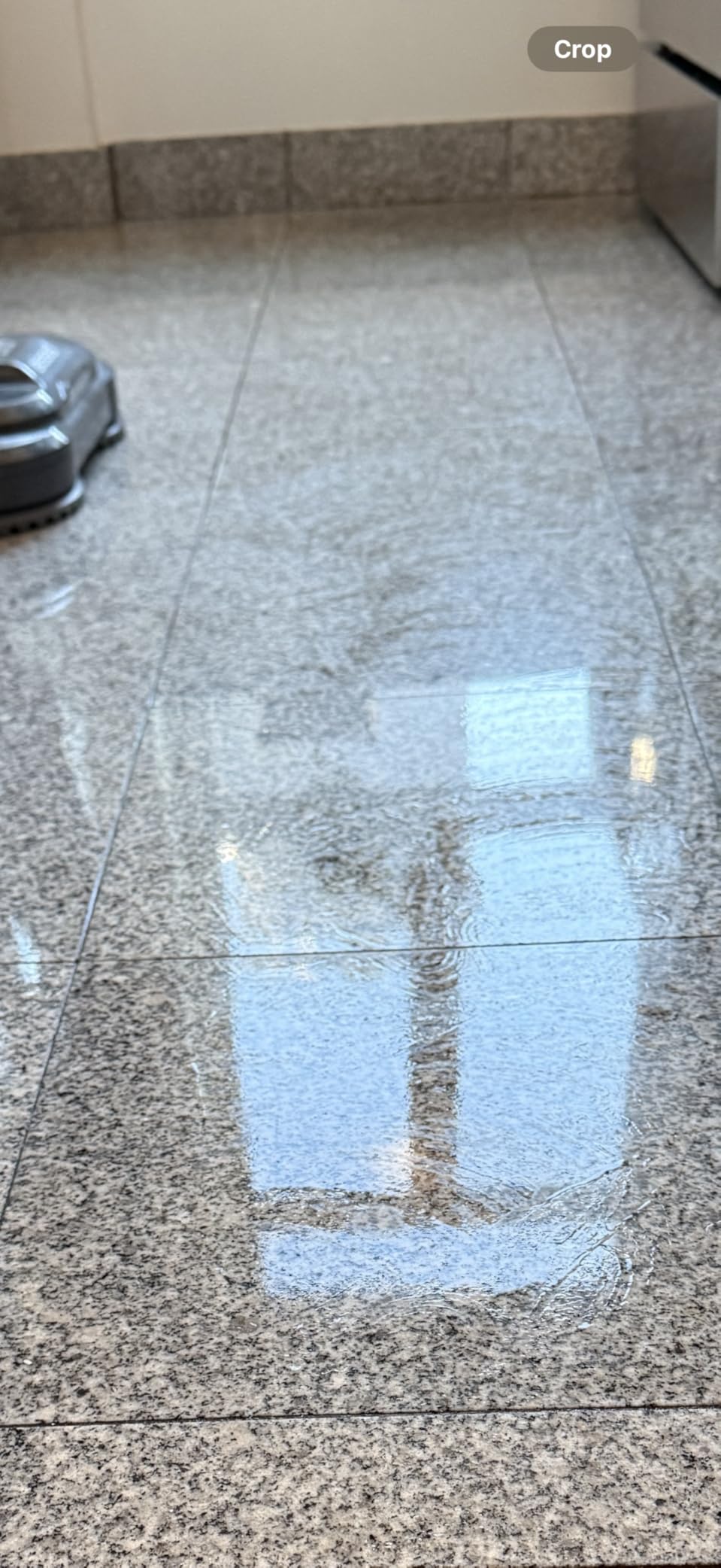 BISSELL Spinwave SmartSteam All-in-One Scrubbing and Sanitizing Electric Hard Floor Steam Mop w/LED Headlights & Swivel Steering 3897A customer photo 1