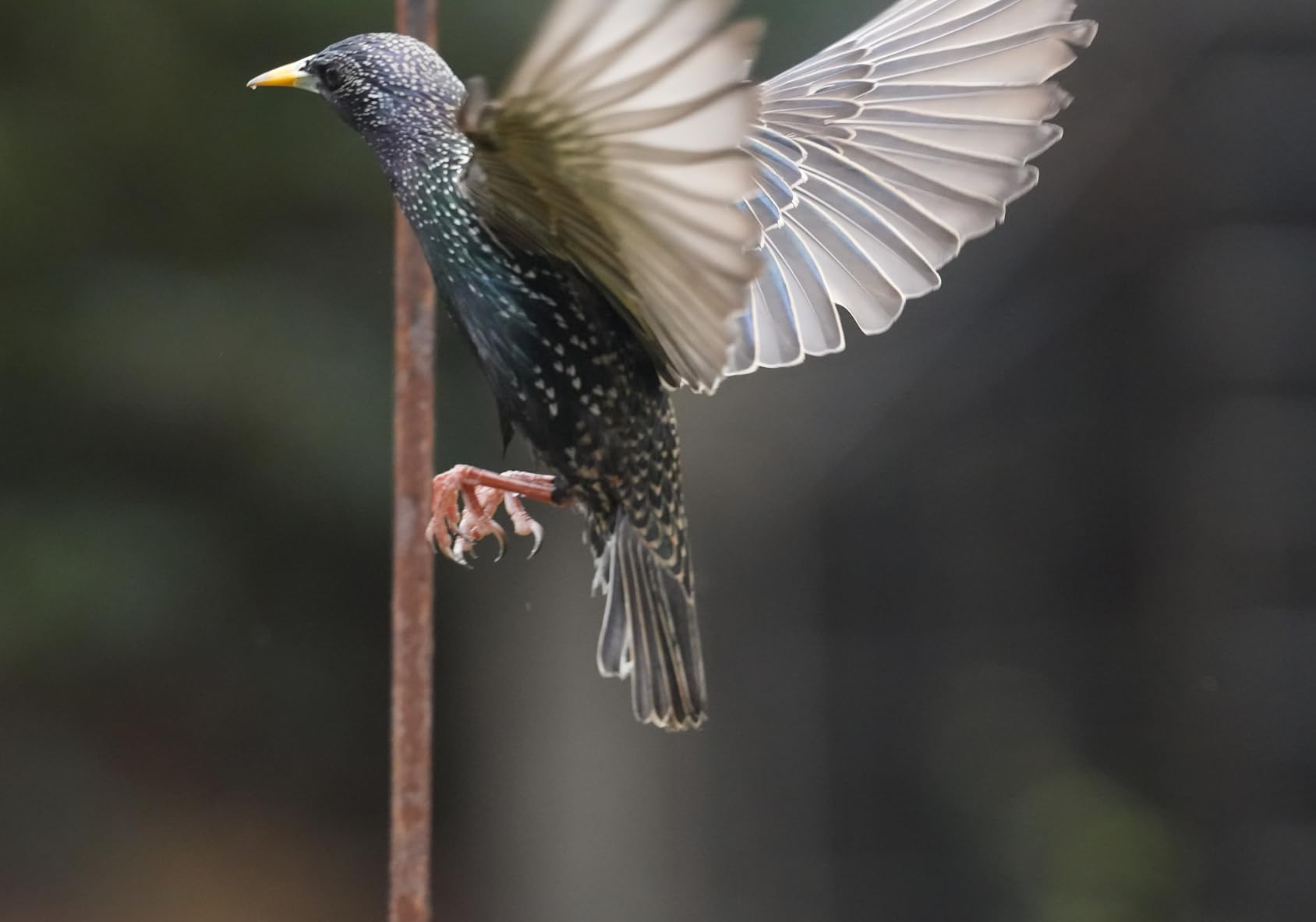 Tamron 70-180mm F/2.8 Di III VC VXD G2 for Sony E-Mount Full Frame (Telephoto Zoom) customer photo 1