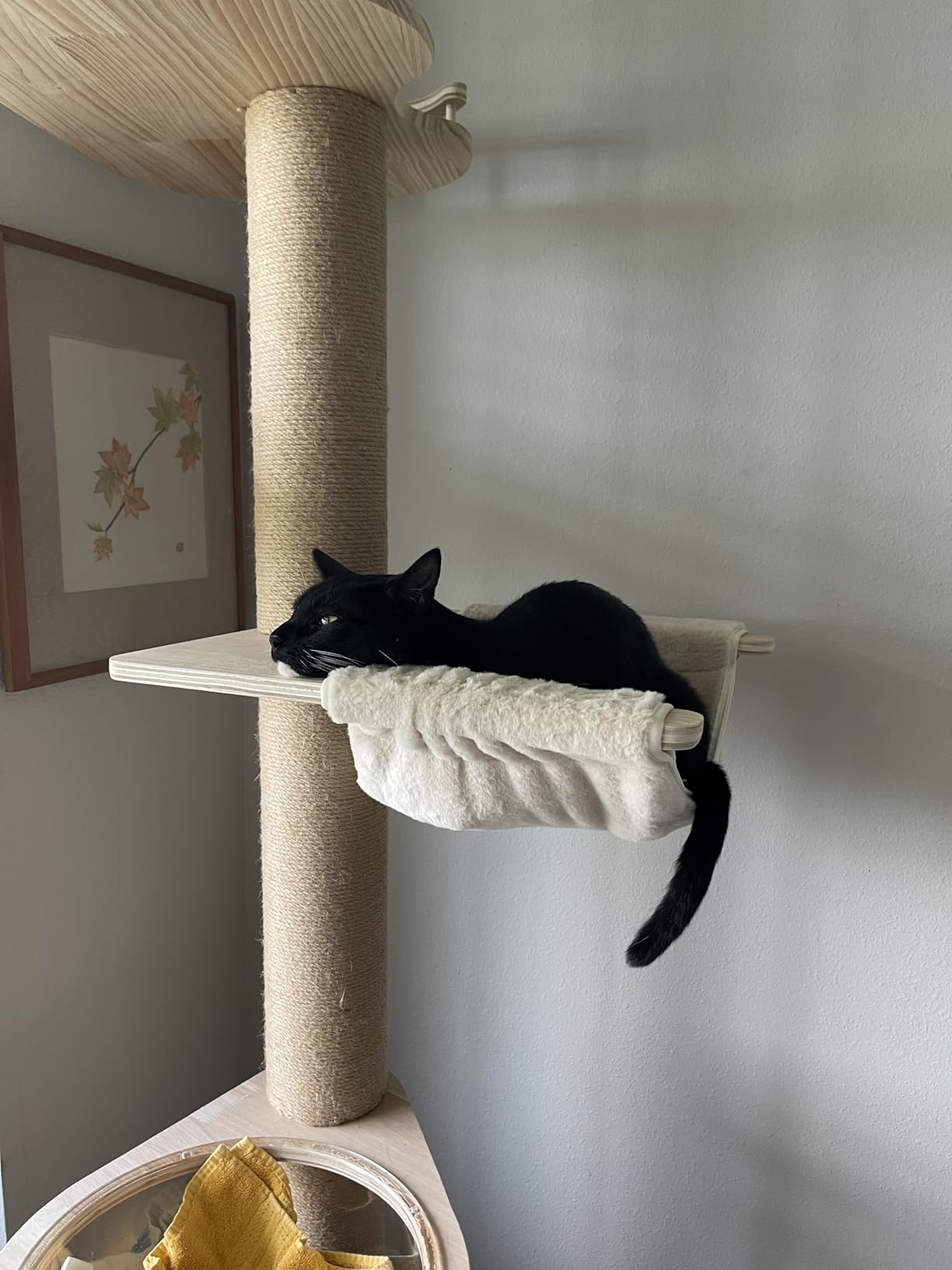 Floor to Ceiling Cat Tree Height (50-120.5in) Adjustable Cat Tower 5 Tier Hemp Scratching Post High Cat Tree Sturdy Activity Tree Indoor Outdoor Cat Scratching Post Activity Center customer photo 2