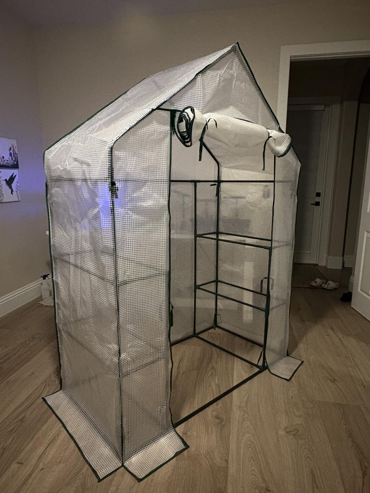Greenhouse, Portable Mini Walk-in Green House for Outdoors with Roll-up Zipper Door, Anchors, and UV-Resistant Cover customer photo 1