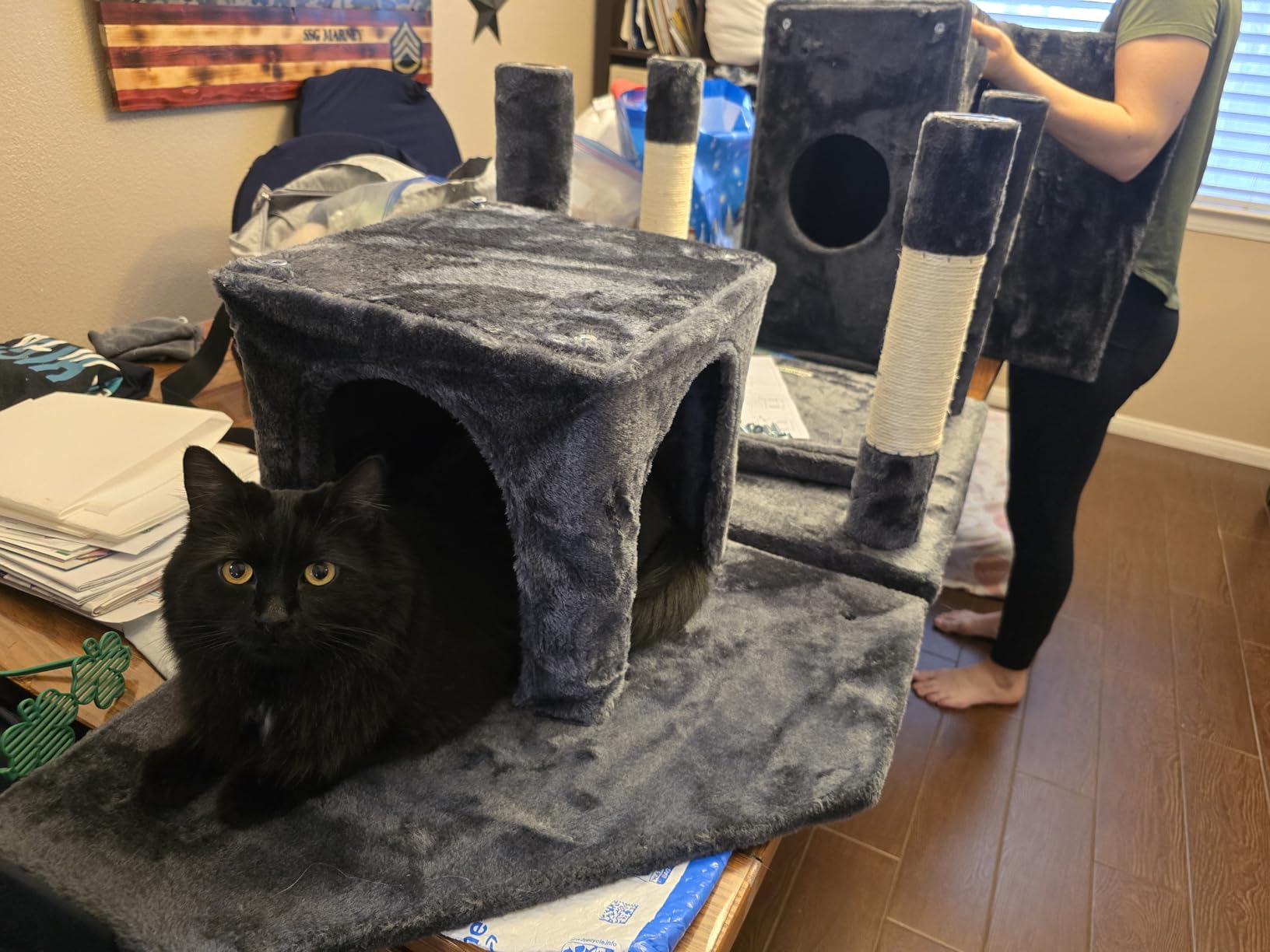Globlazer Heavy Duty Cat Trees for Large Cats, Sturdy 72in Maine Coon Cat Tree for Large Cats 20 lbs+ Heavy Duty Cat Tower for Adult Biggest Cat with 6 Scratching Posts, Hammock, S72, Dark Gray customer photo 1