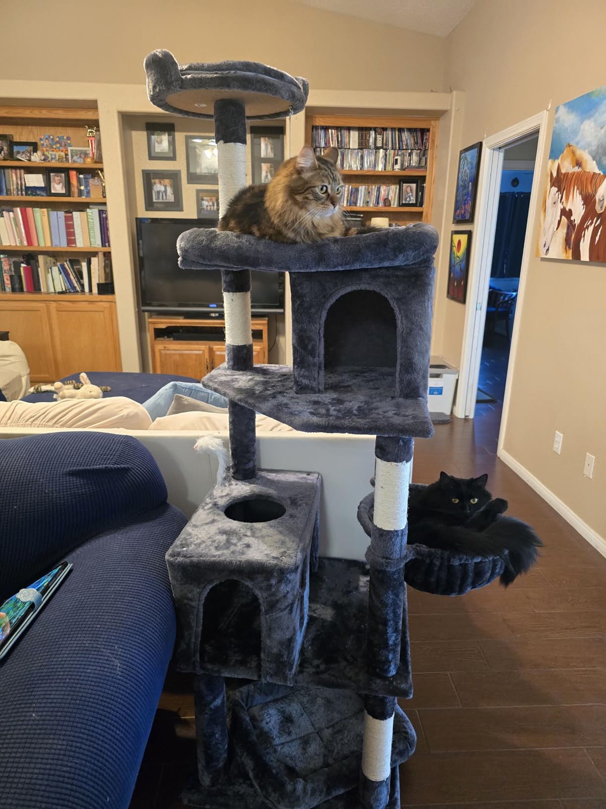 Globlazer Heavy Duty Cat Trees for Large Cats, Sturdy 72in Maine Coon Cat Tree for Large Cats 20 lbs+ Heavy Duty Cat Tower for Adult Biggest Cat with 6 Scratching Posts, Hammock, S72, Dark Gray customer photo 2