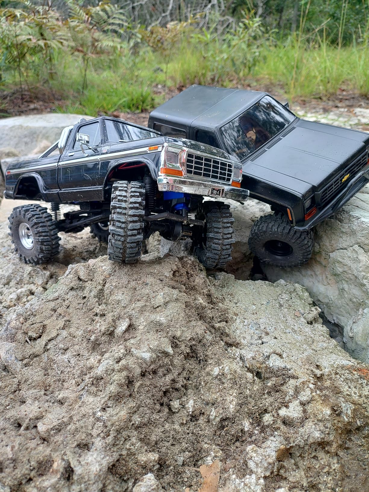 1/18 TRX-4M F-150 High Trail Crawler Truck (Traxxas) customer photo 1