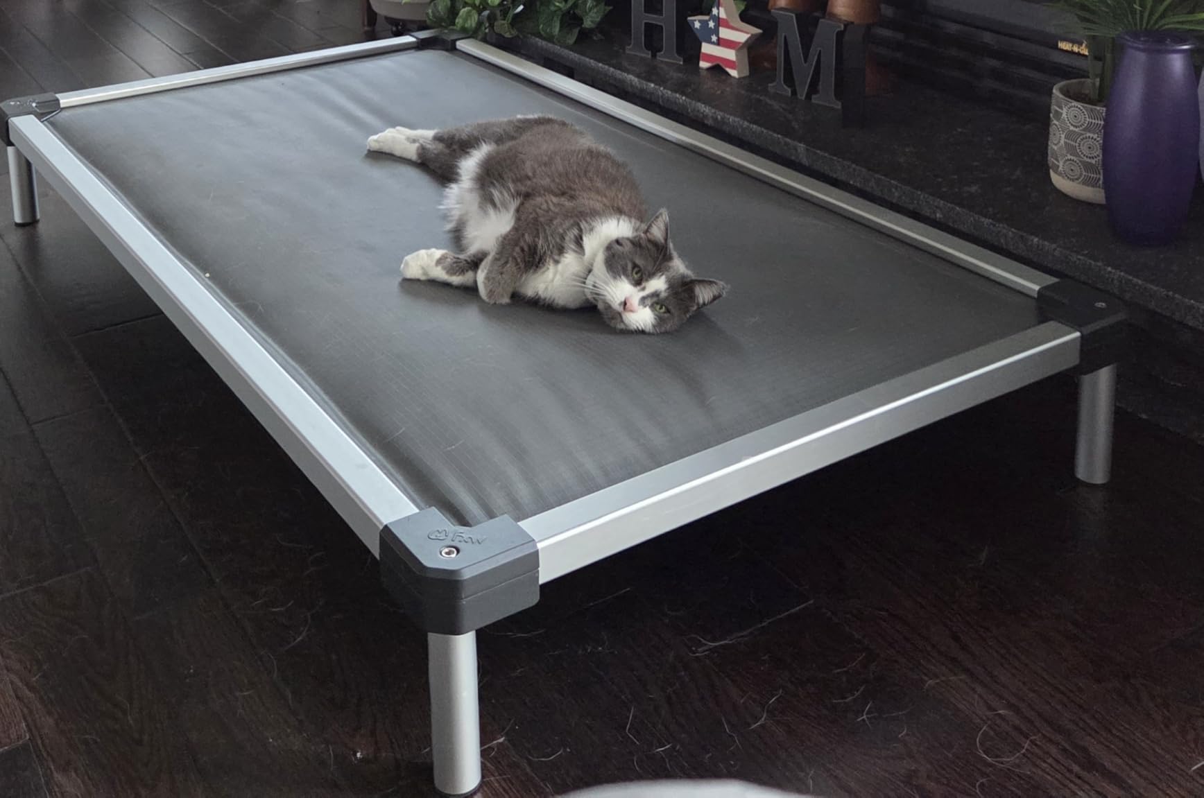 FXW TitanNest Chew-Proof Elevated Dog Bed, Raised Cot for Indoor/Outdoor/Camping Use, Durable & Washable Padded Pet Bed for Medium Dogs, 42.0