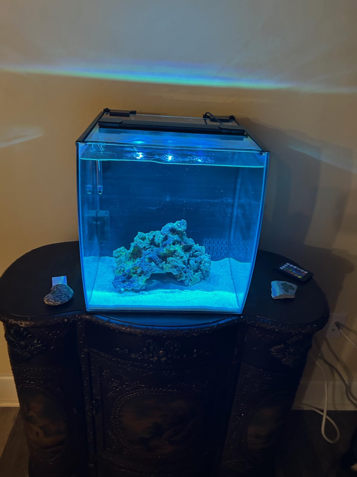 Aquatop 8.6 Gallon Bow Front Glass Aquarium Kit with Filter and LED Lighting customer photo 1