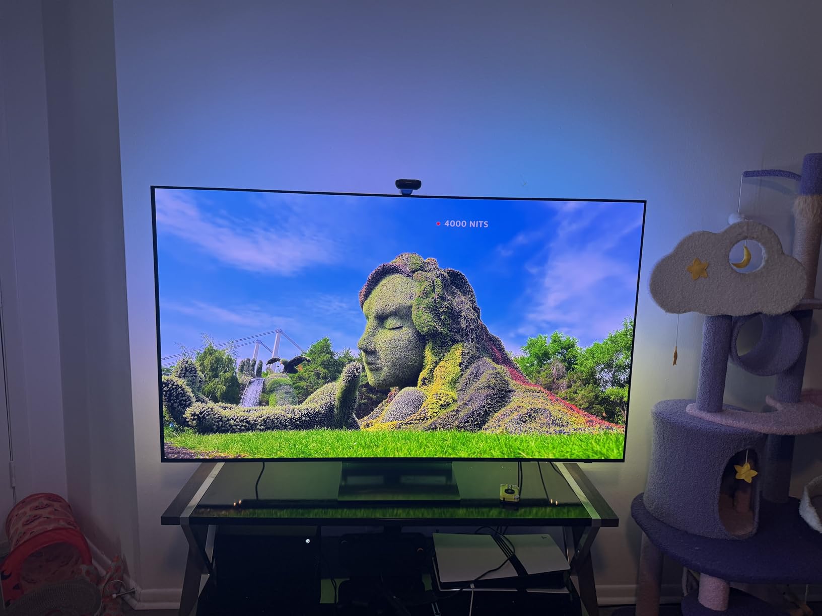 SAMSUNG 65-Inch Class OLED 4K S90D Series HDR+ Smart TV w/Dolby Atmos, Object Tracking Sound Lite, Motion Xcelerator, Real Depth Enhancer, 4K AI Upscaling, Alexa Built-in customer photo 1