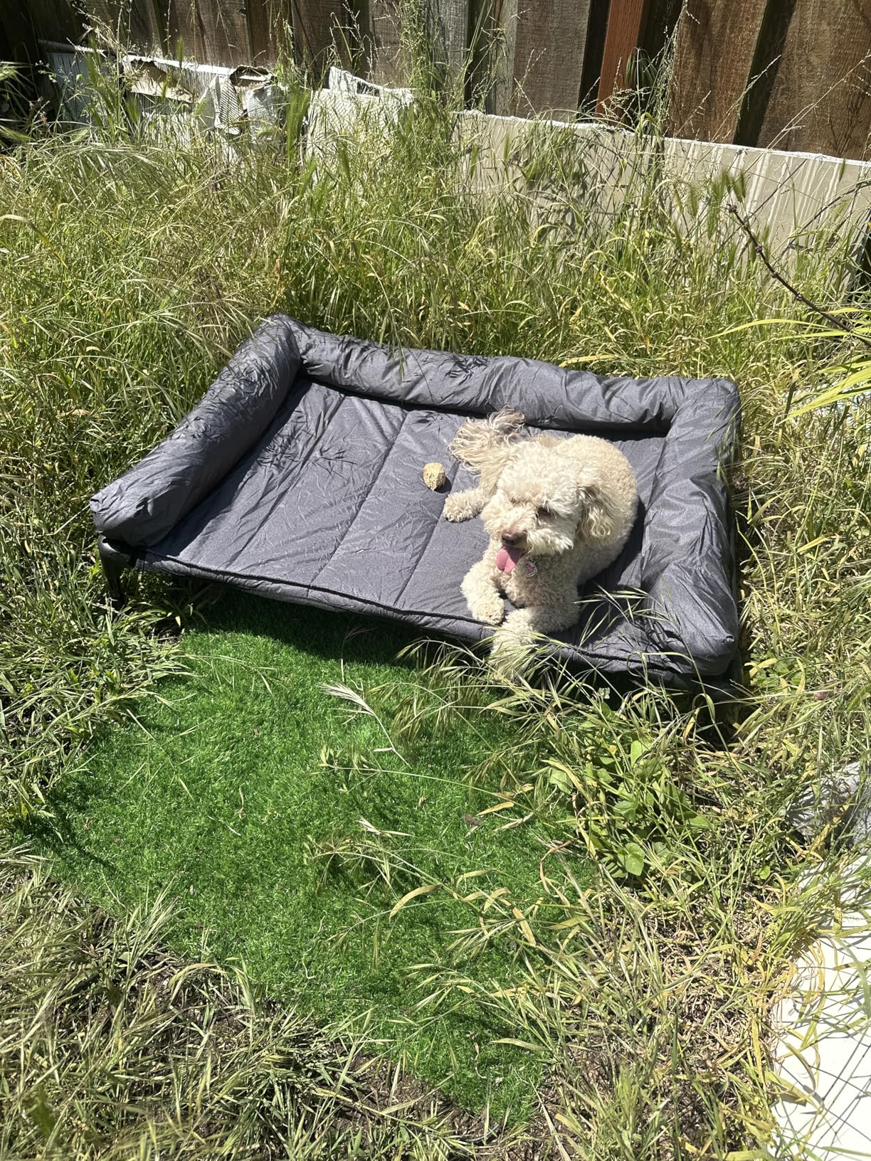 Veehoo Cooling Elevated Dog Bed Add Removable Waterproof Bolster Cushion Mat, Raised Pet Cot with Breathable Teslin Mesh, No-Slip Feet, Dog Couch Bed for Indoor Outdoor, 42x30inches, Black, CWC2331B customer photo 2