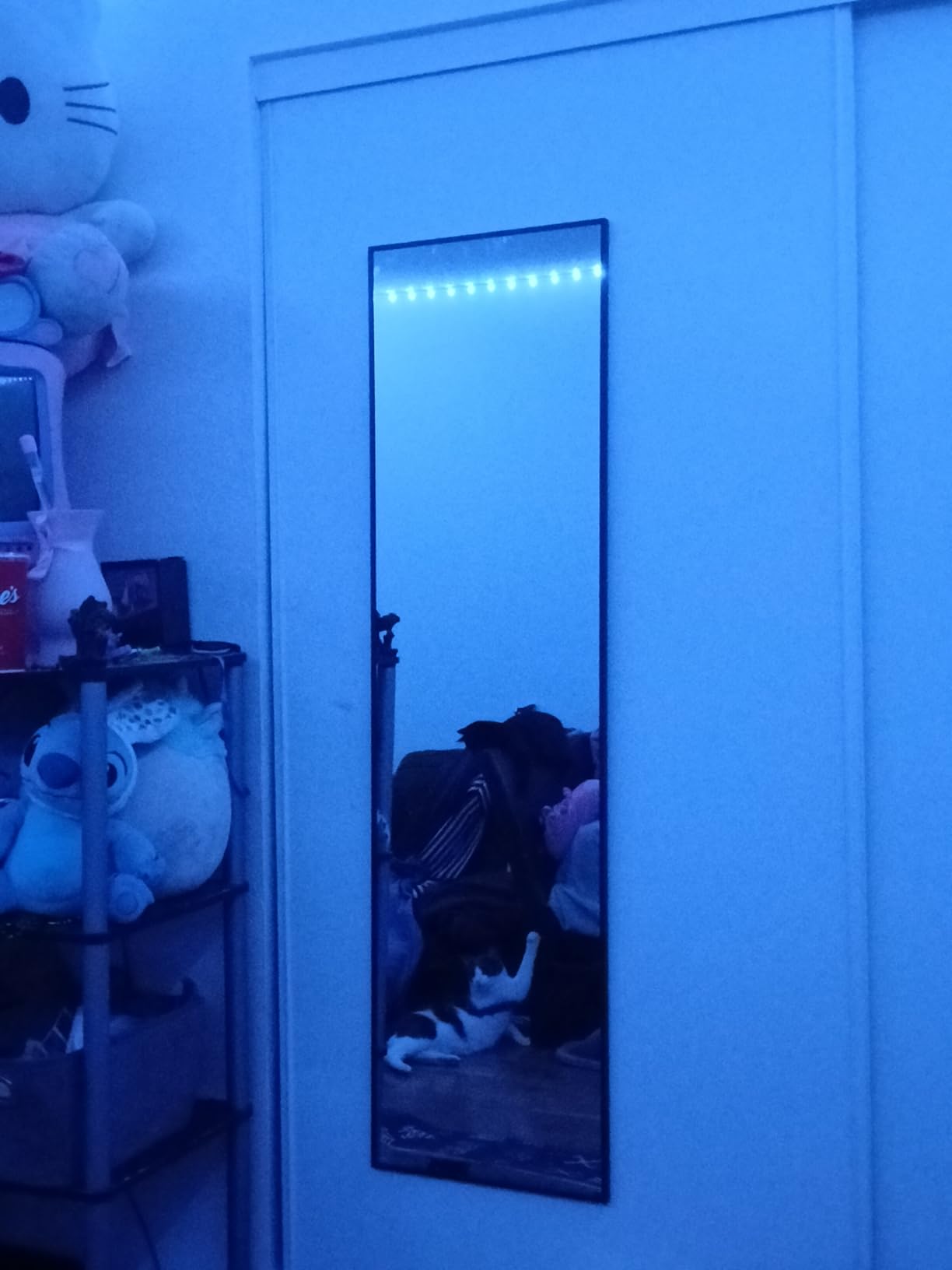 Delma Home Gym Mirror, 54