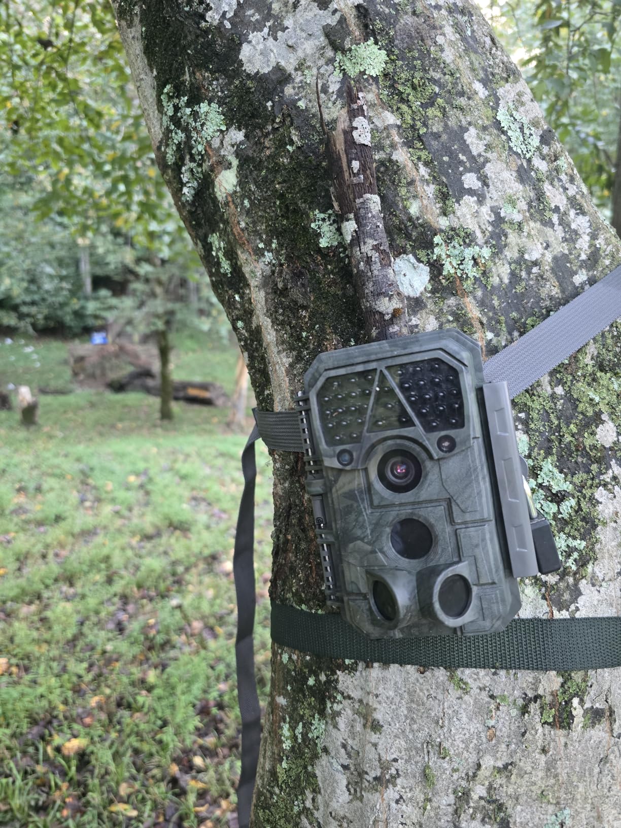 Meidase P70 (Non-Cellular,Non-WiFi) Trail Camera, 64MP 1296p, Game Cameras with No-Glow IR Night Vision, Motion Activated, Waterproof for Wildlife Deer Cams, Hunting customer photo 2
