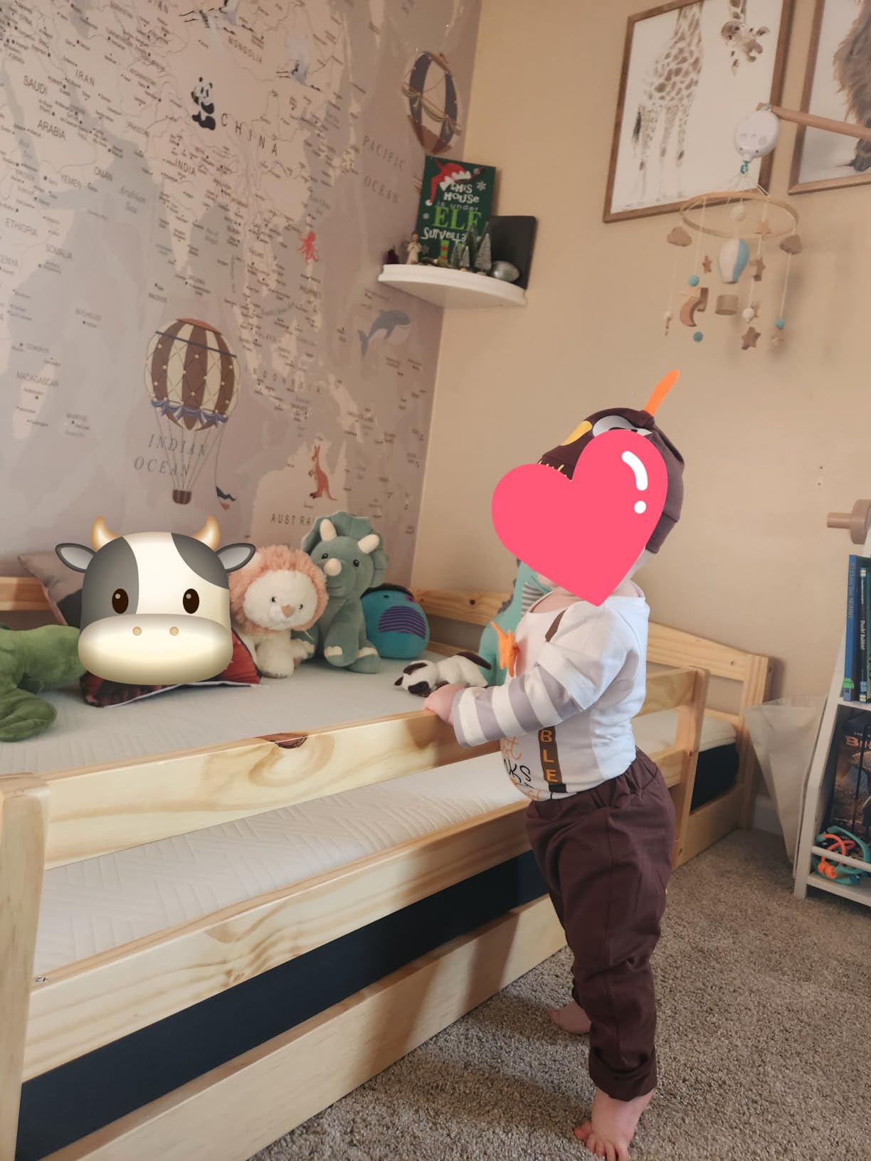 Ocodile Twin Floor Bed with Safety Guardrails for Kids, Montessori Inspired with Rails and 2 Openings, Twin Size Bed Frame for Girls and Boys - Gray customer photo 1