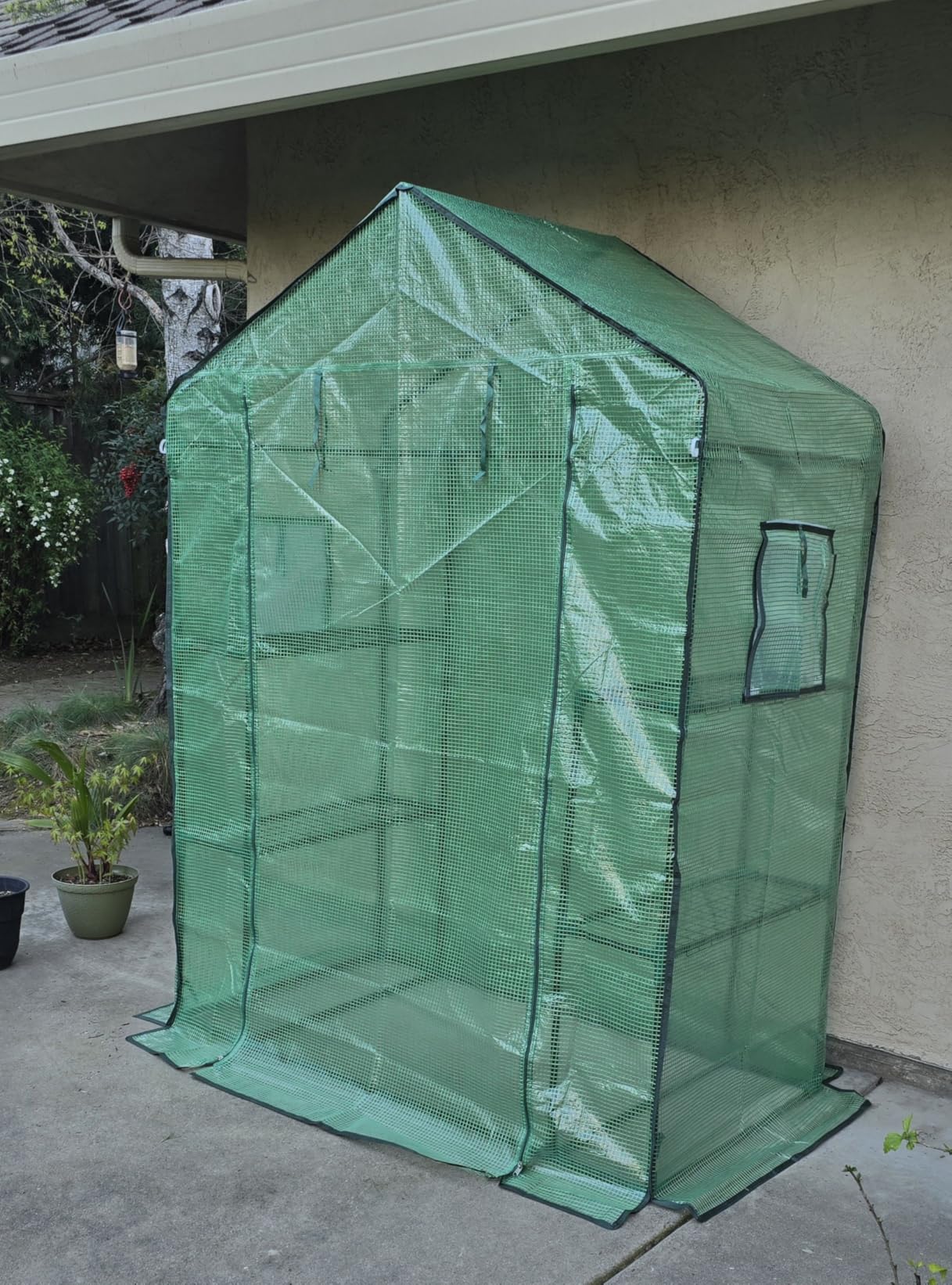 Greengro Greenhouse, 28 x 57 x 76'' Greenhouses for Outdoors, Small Plant Green House with Screen Windows, 3 Tiers 4 Shelves, Durable PE Cover customer photo 1