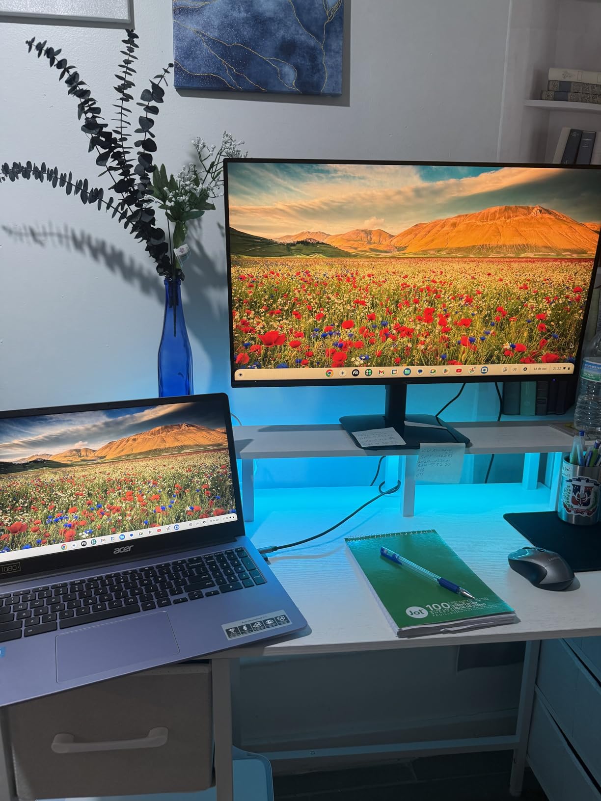 Acer 27 Inch Monitor - KB272 - 27 Inch FHD IPS (1920 x 1080) Display, Up to 120Hz Refresh Rate, 99% sRGB, Tilt, Adaptive-Sync Support (FreeSync Compatible) 1ms (VRB), HDMI & VGA Ports customer photo 2