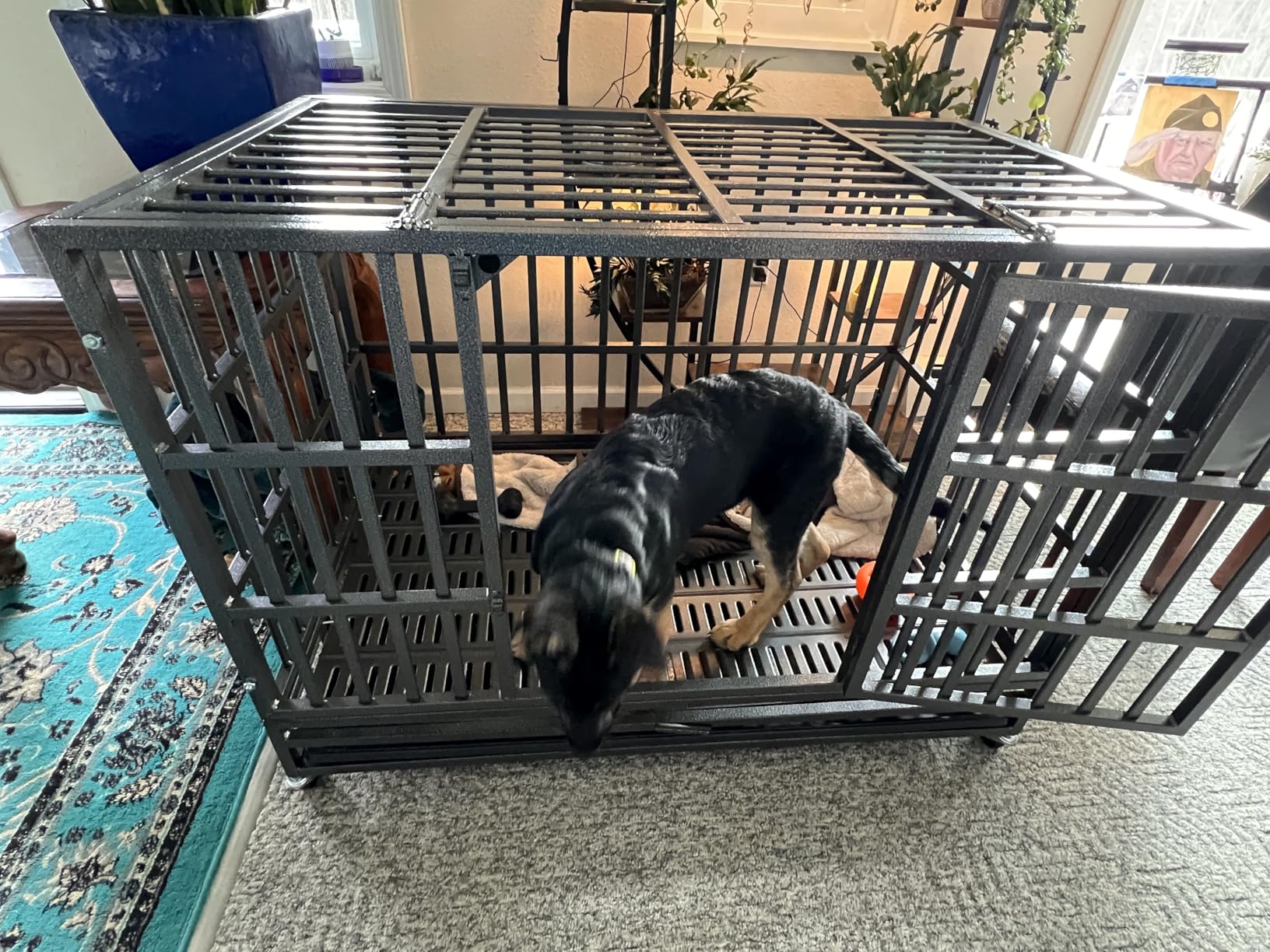 Oranland 48 inch Heavy Duty Indestructible Dog Crate,2025 New Upgraded Reinforced Baseplate for Large Dogs,XL Dog Crate for High Anxiety Dogs/Max Load Capacity 250lbs/Double Door with Wheels customer photo 2