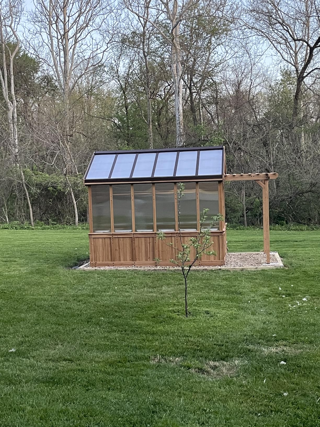 Backyard Discovery Bellerose XL 13' x 11' Cedar Wood and Polycarbonate Walk-in Greenhouse Kit with Pergola, Exhaust Fan, Windows, Hose Hook-Ups customer photo 2
