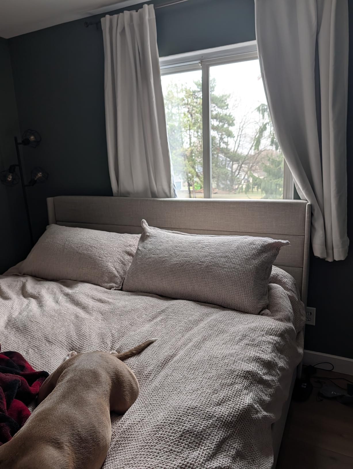 SHA CERLIN Queen Size Lift Up Storage Bed/Velvet Upholstered/Modern Wingback Headboard/Upholstered Platform Bed Frame/Hydraulic Storage/No Box Spring Needed/White customer photo 1