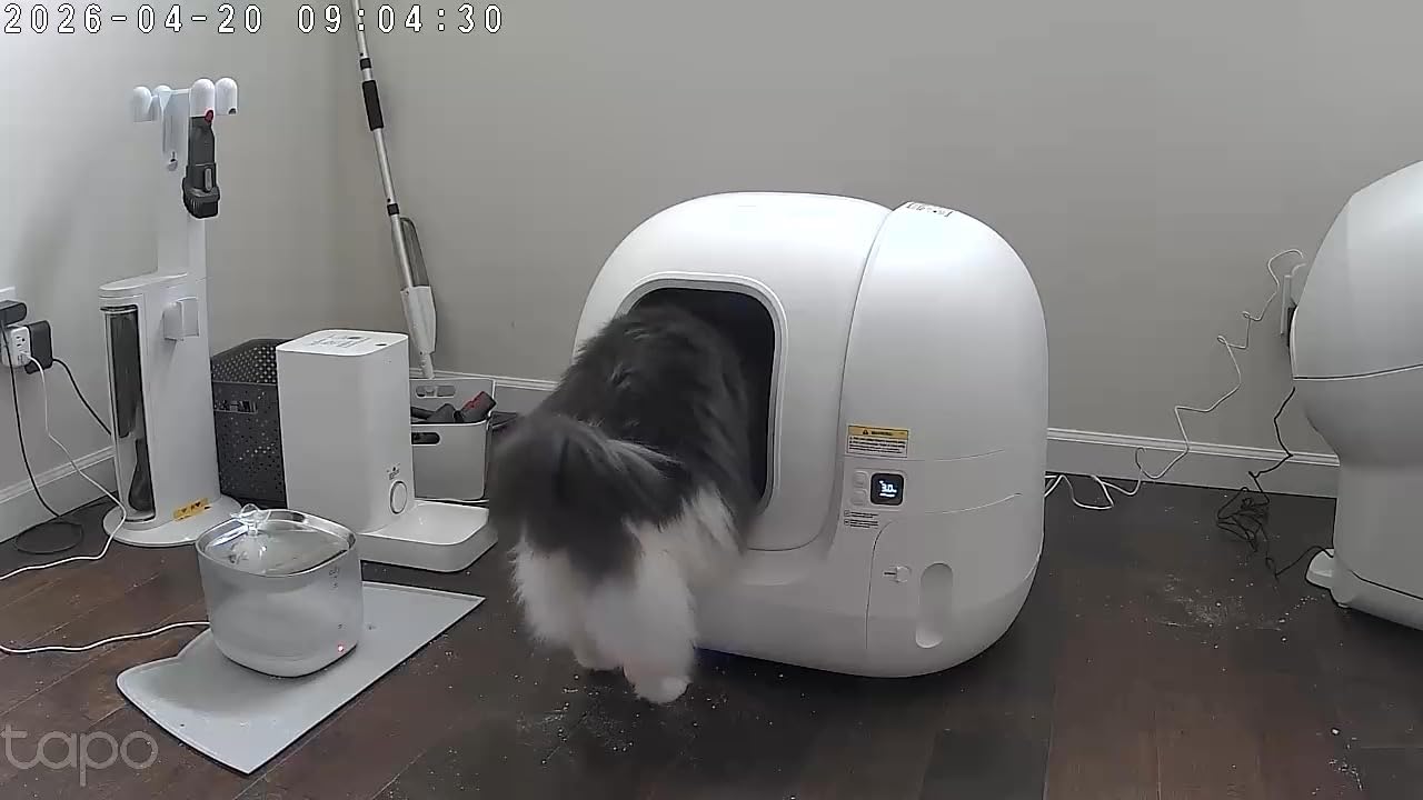 PETKIT PuraMax 2 Automatic Self-Cleaning Cat Litter Box, App Control Automatic Litter Box with Safety Sensors customer photo 2