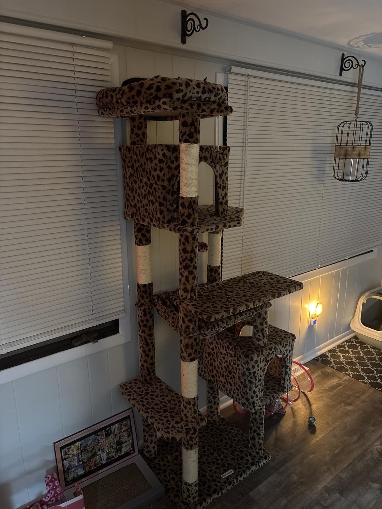 Globlazer Heavy Duty Cat Tree, 70 inch Sturdy Cat Tree for Indoor Cats Extra Large Cat Tower with Scratching Post, Hammock, Cat Condo for Adult Cats Kittens, F70 Pro, Light Grey customer photo 2