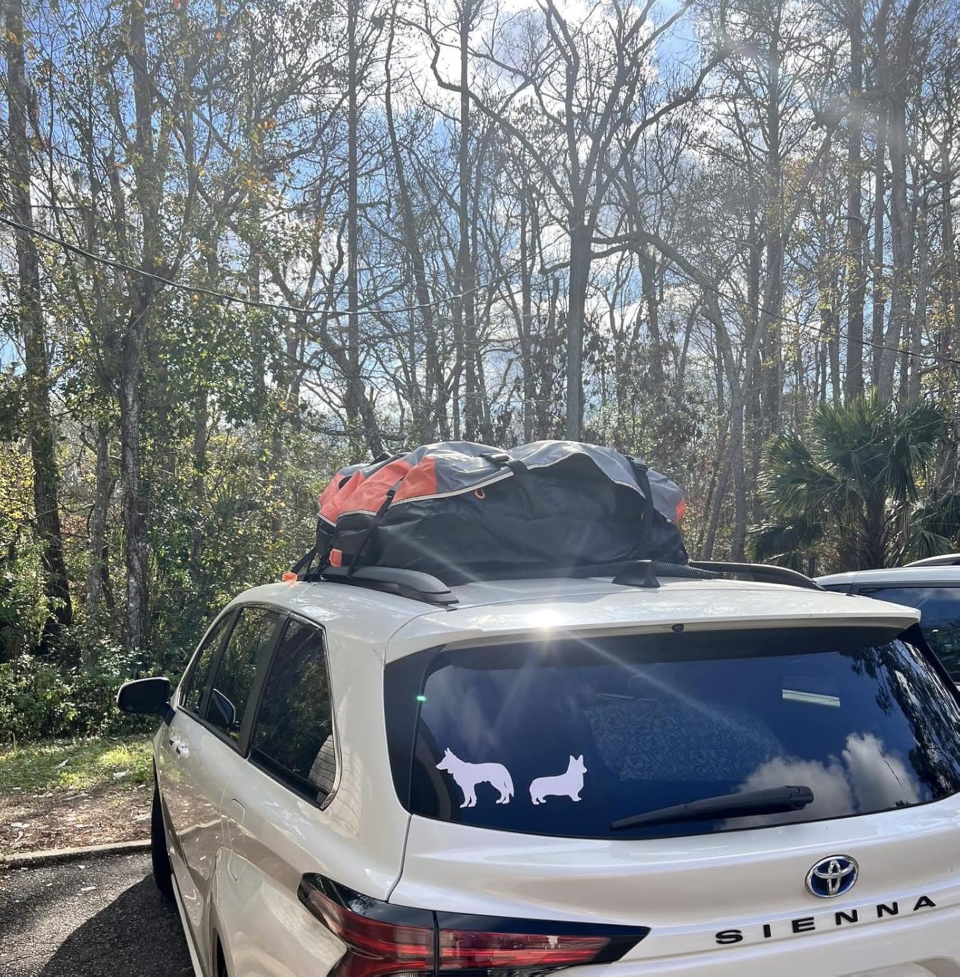 Sailnovo Rooftop Cargo Carrier Bag 21 Cubic, 1000D PVC Waterproof Vehicle Soft-Shell Carrier for Cars with/Without Roof Rack, Car Roof Storage Includes Anti-Slip Mat,10 Reinforced Straps, 6 Door Hooks customer photo 2