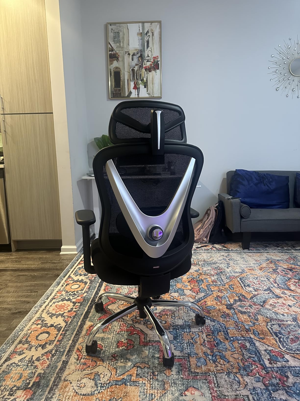 HOLLUDLE Ergonomic Mesh Office Chair - 3D Adjustable Lumbar Support & 3D Armrests, V-Shaped Back customer photo 1
