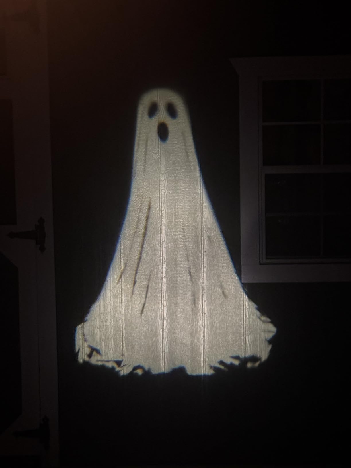 Halloween Projector Lights Outdoor,3D Dynamic Ghost Decorations Light,2025 Upgraded Clearer Ghost HD Patterns,Night Light for Home Window Wall Halloween Decor customer photo 1