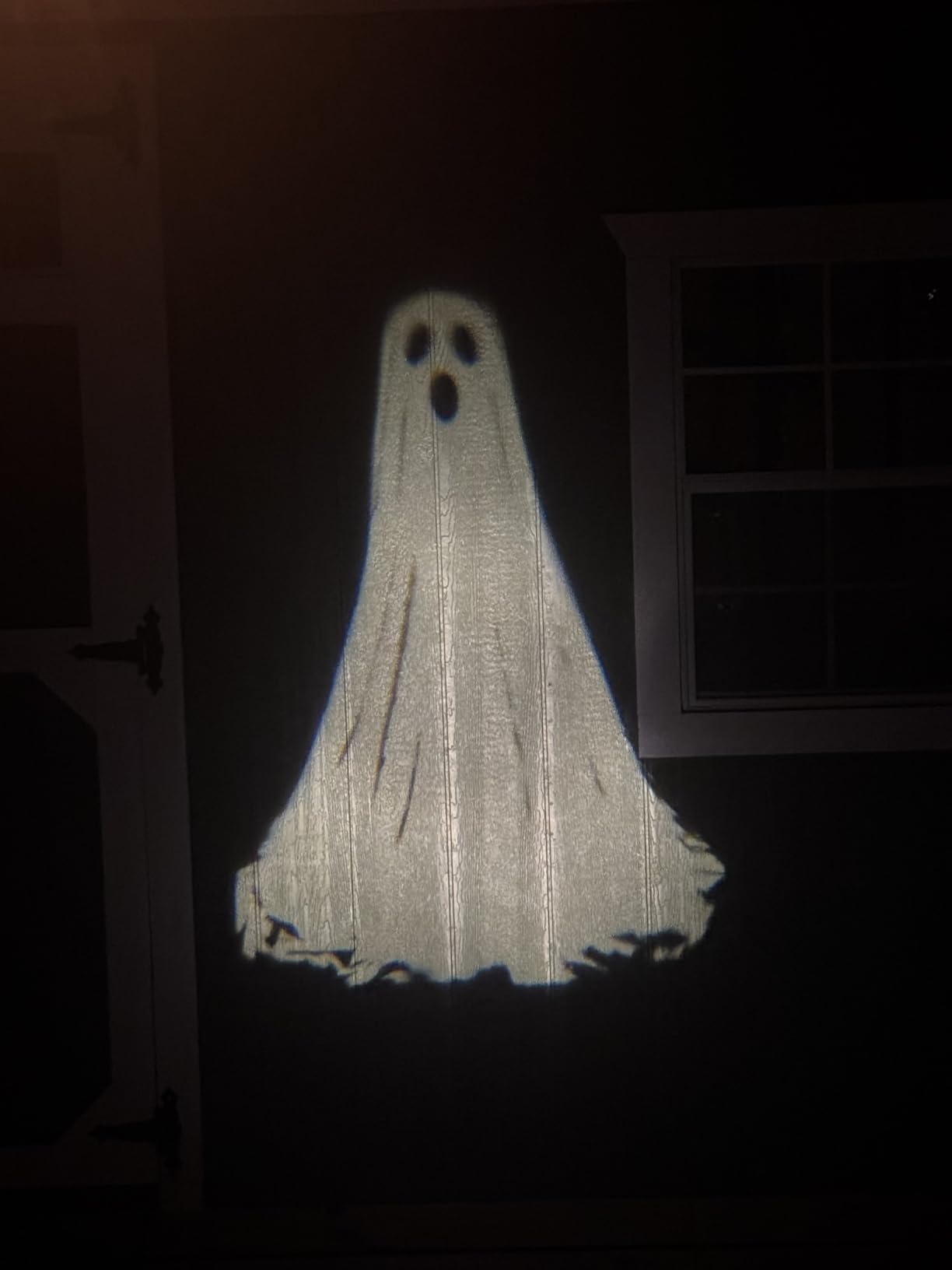 Halloween Projector Lights Outdoor,3D Dynamic Ghost Decorations Light,2025 Upgraded Clearer Ghost HD Patterns,Night Light for Home Window Wall Halloween Decor customer photo 2