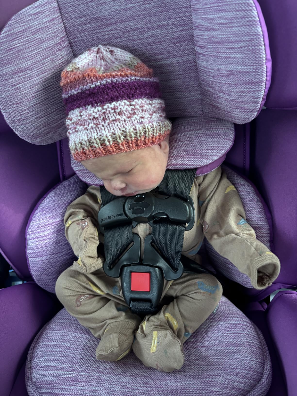 Graco Slimfit 3-in-1 Convertible Car Seat, Slim Car Seat with Space-Saving Design, Highback Booster Seat with 10-Position Headrest, Rear Facing and Forward Facing Carseat, Jarret customer photo 1